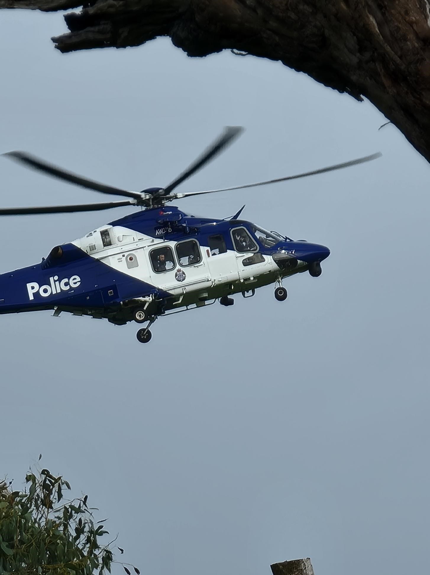 Police search for trespasser at Ventnor