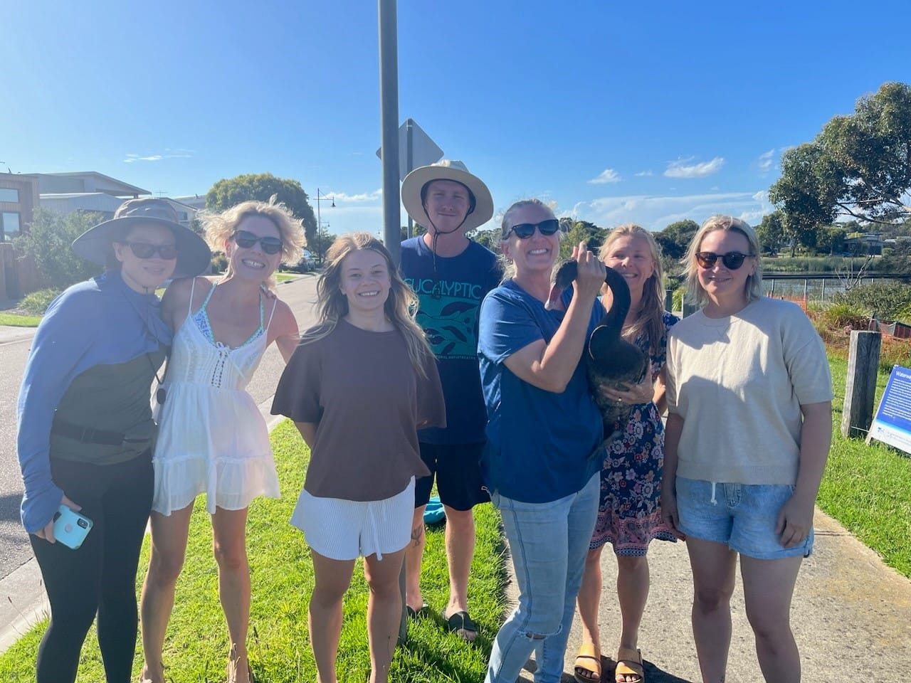 Swan on lake rescued