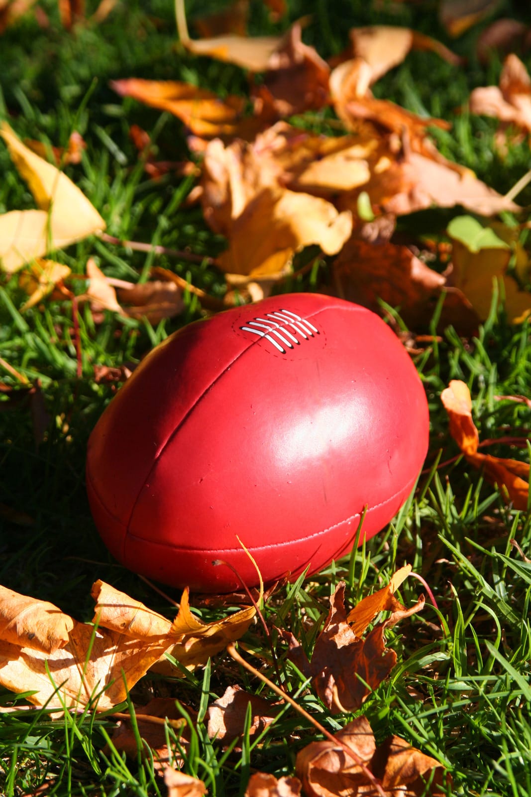 U10s & U12s footy reports vs Leongatha 2021