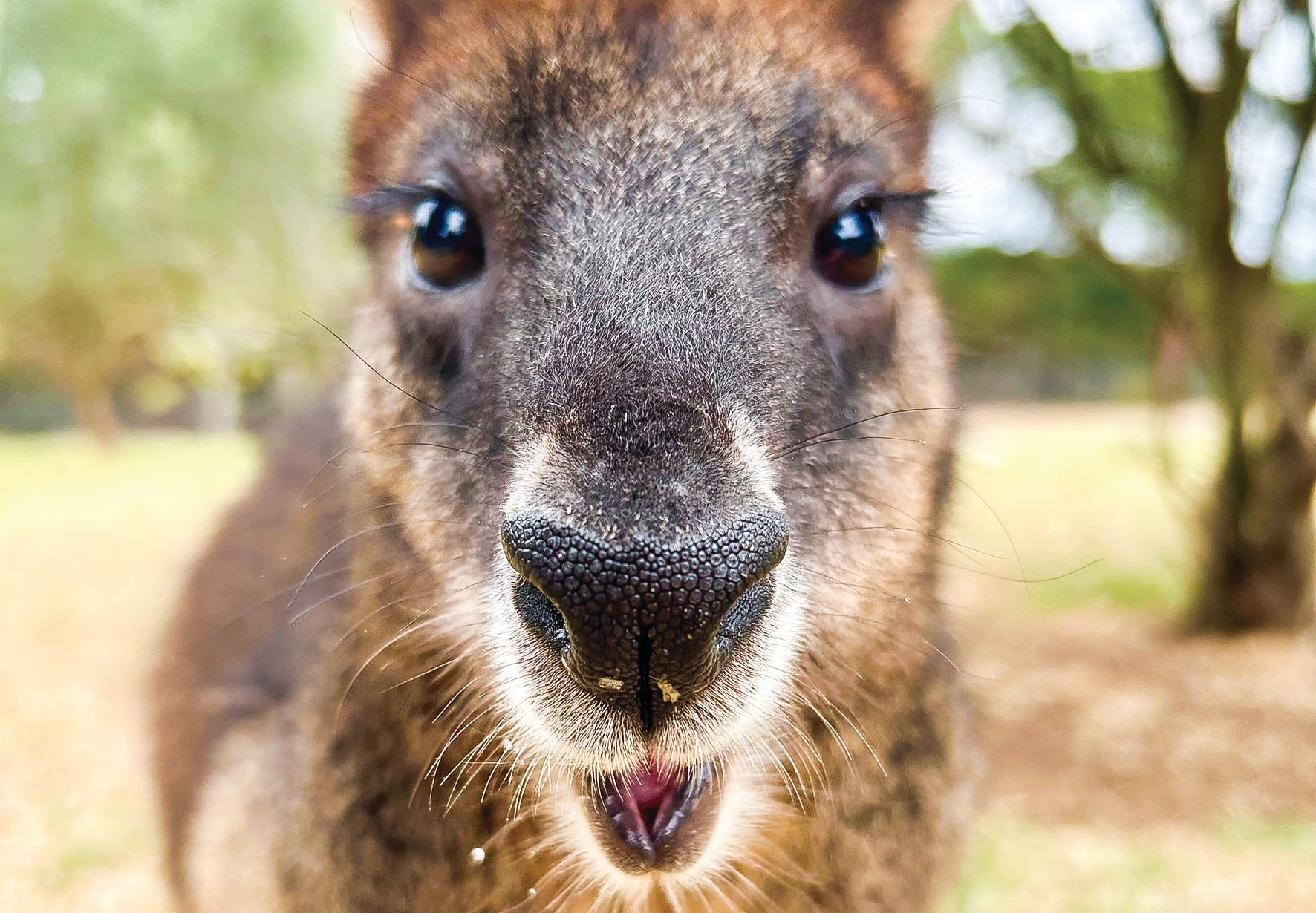 Everybody needs good neighbours