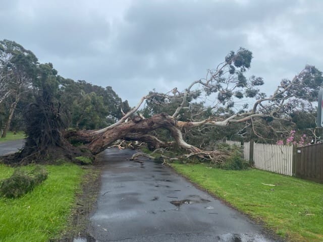 Wild winds lash the island