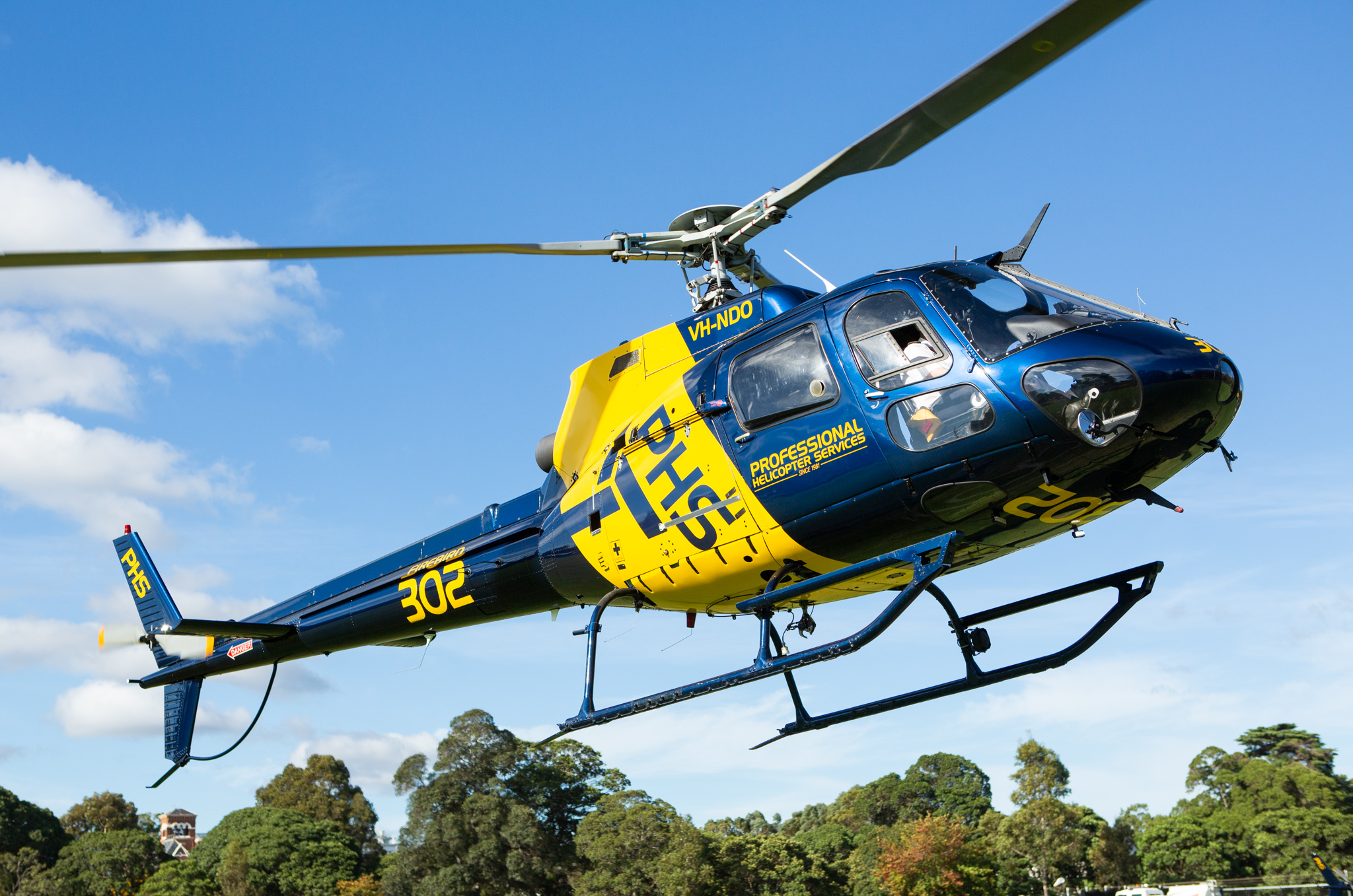 Choppers check out electricity poles