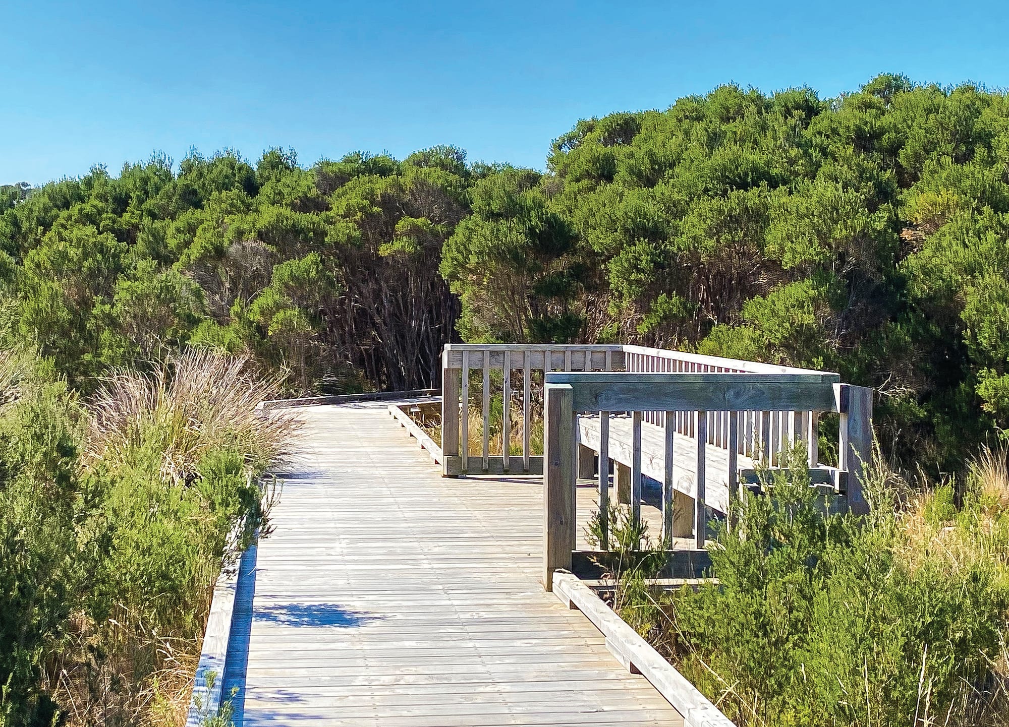 These boots are made for walking ... and cycling ... and riding