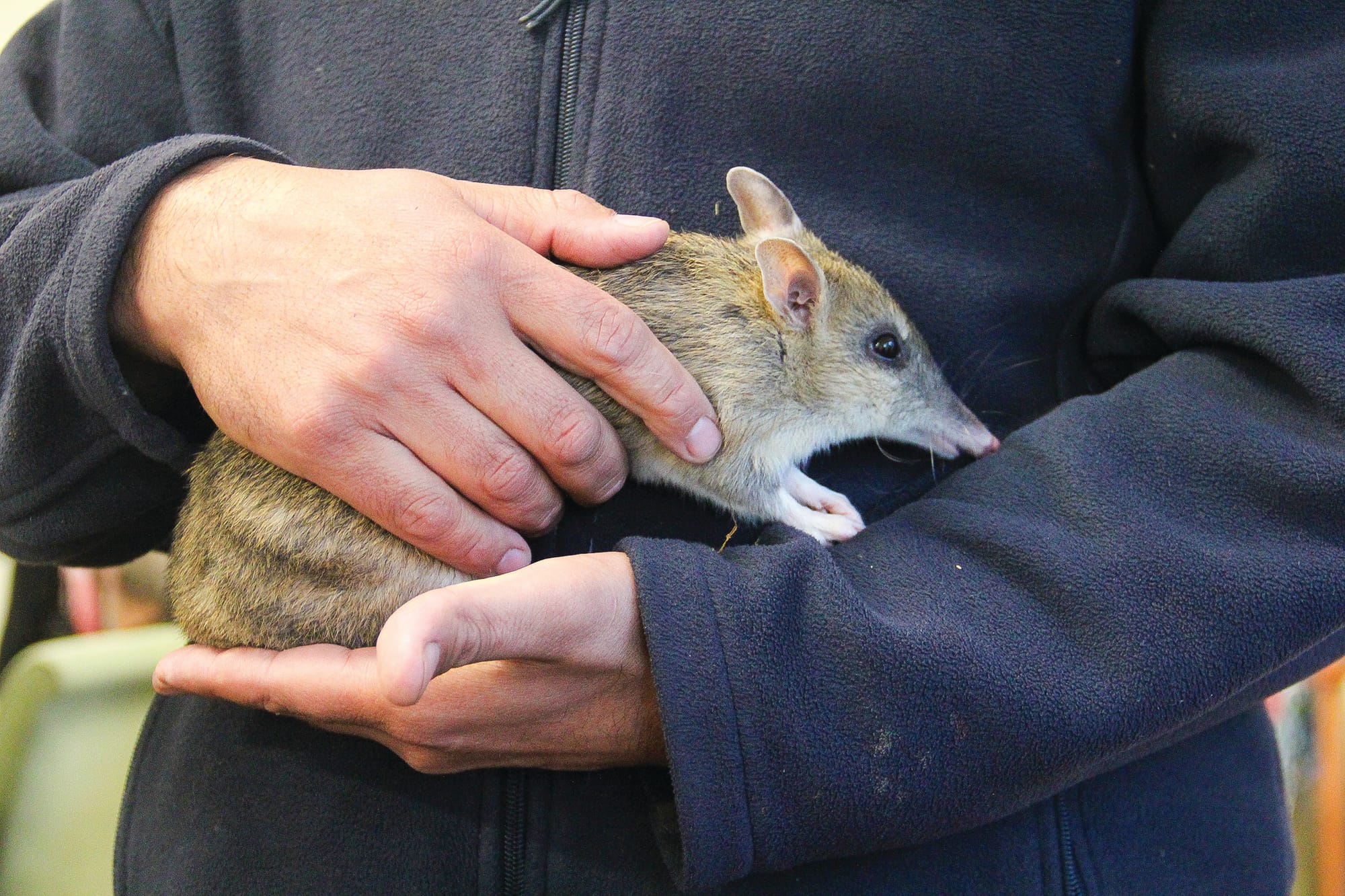 Know Your Nature Parks - Summer 2023