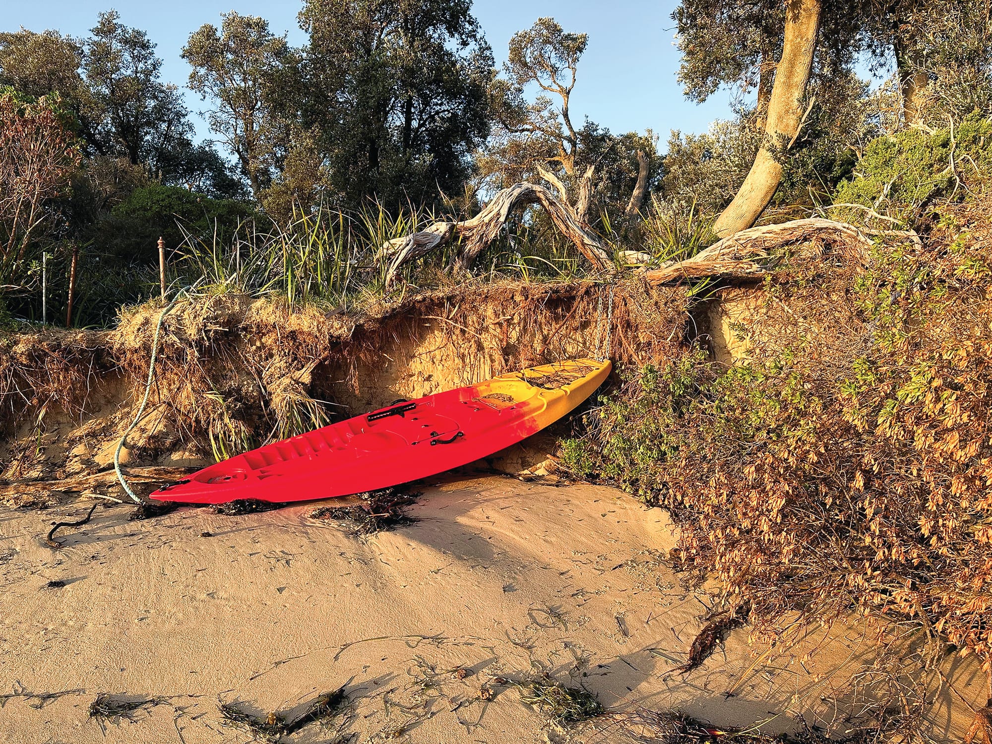 Candidate survey: Silverleaves Conservation Association