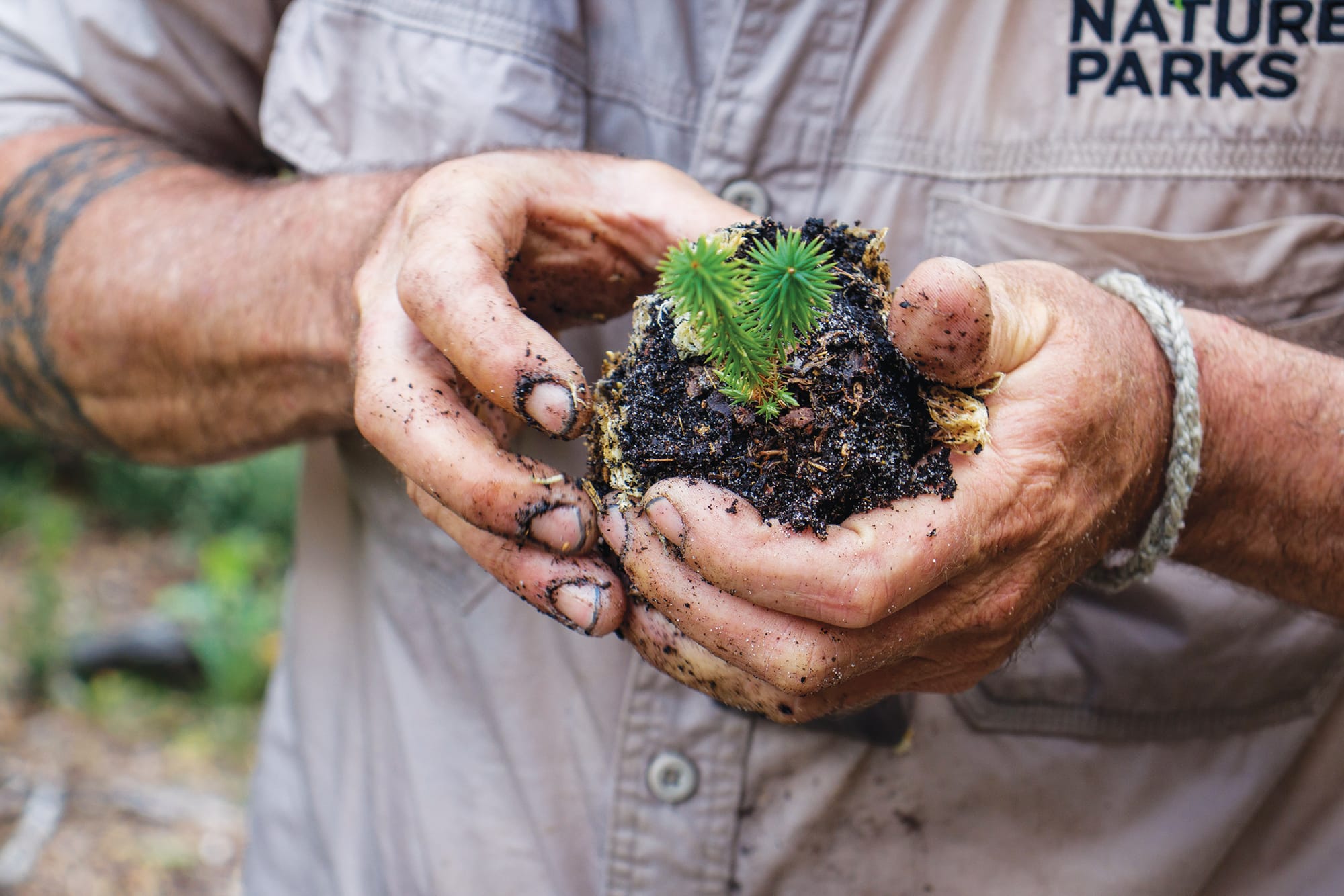 Visit the fabulous Bushbank