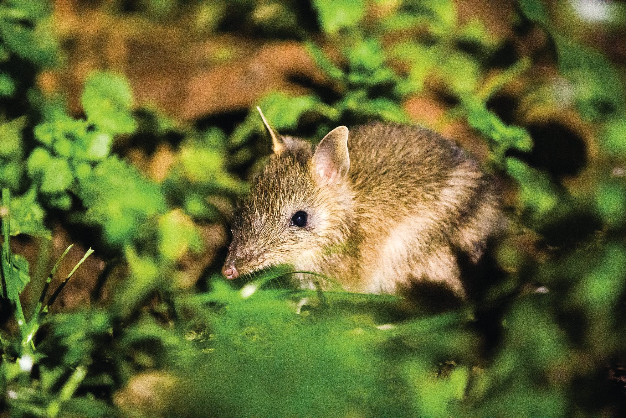 Slow down and protect our smallest residents