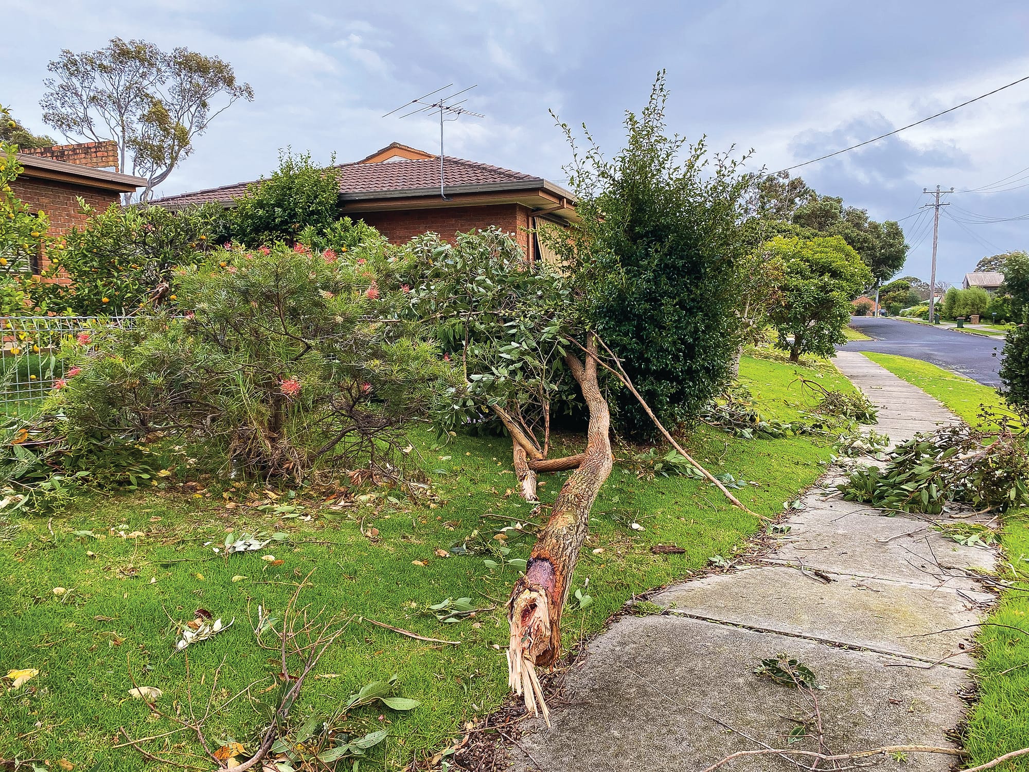 Wednesday night storm hits hard