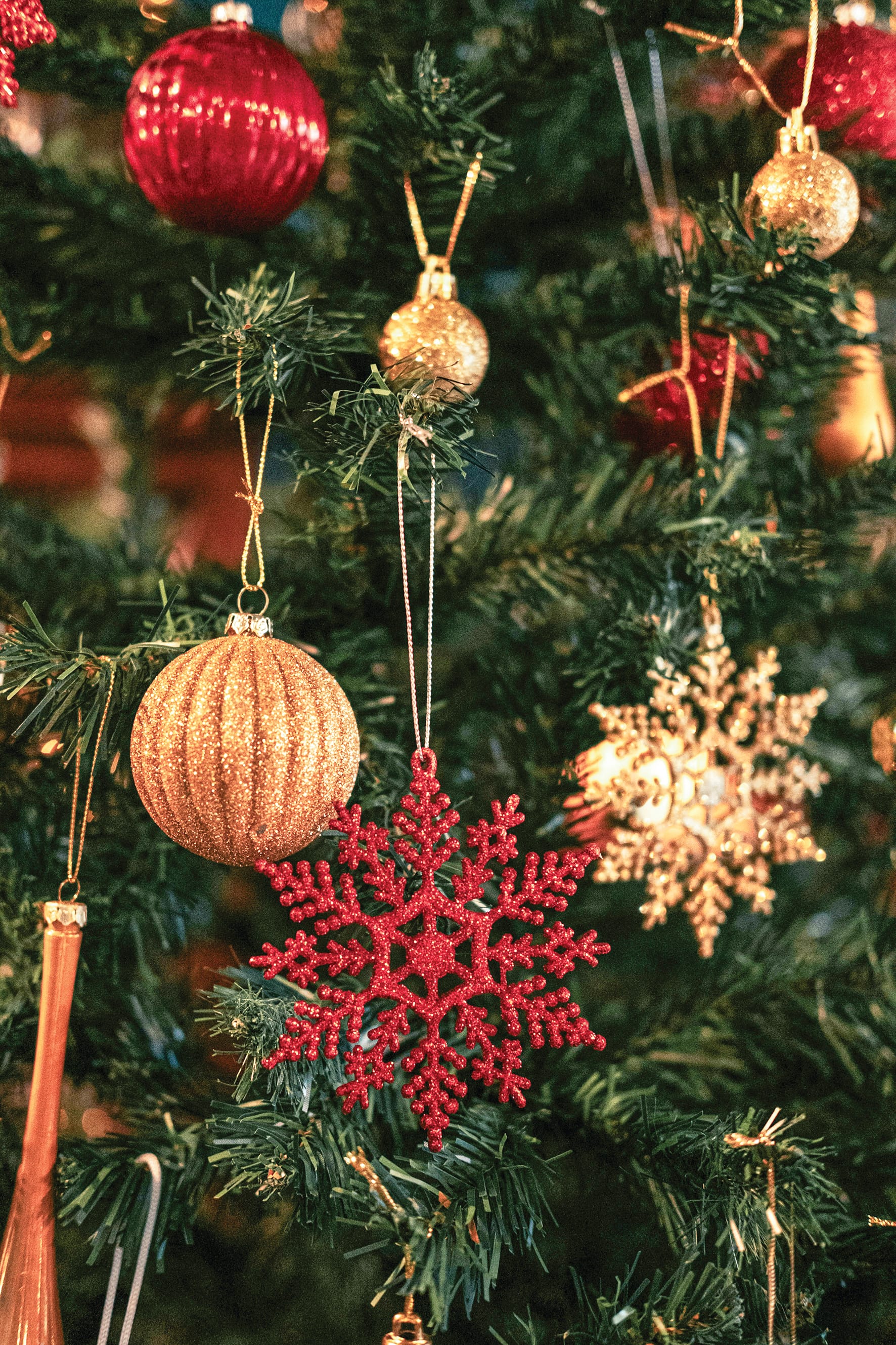 Warm up this winter with Christmas in July promotion