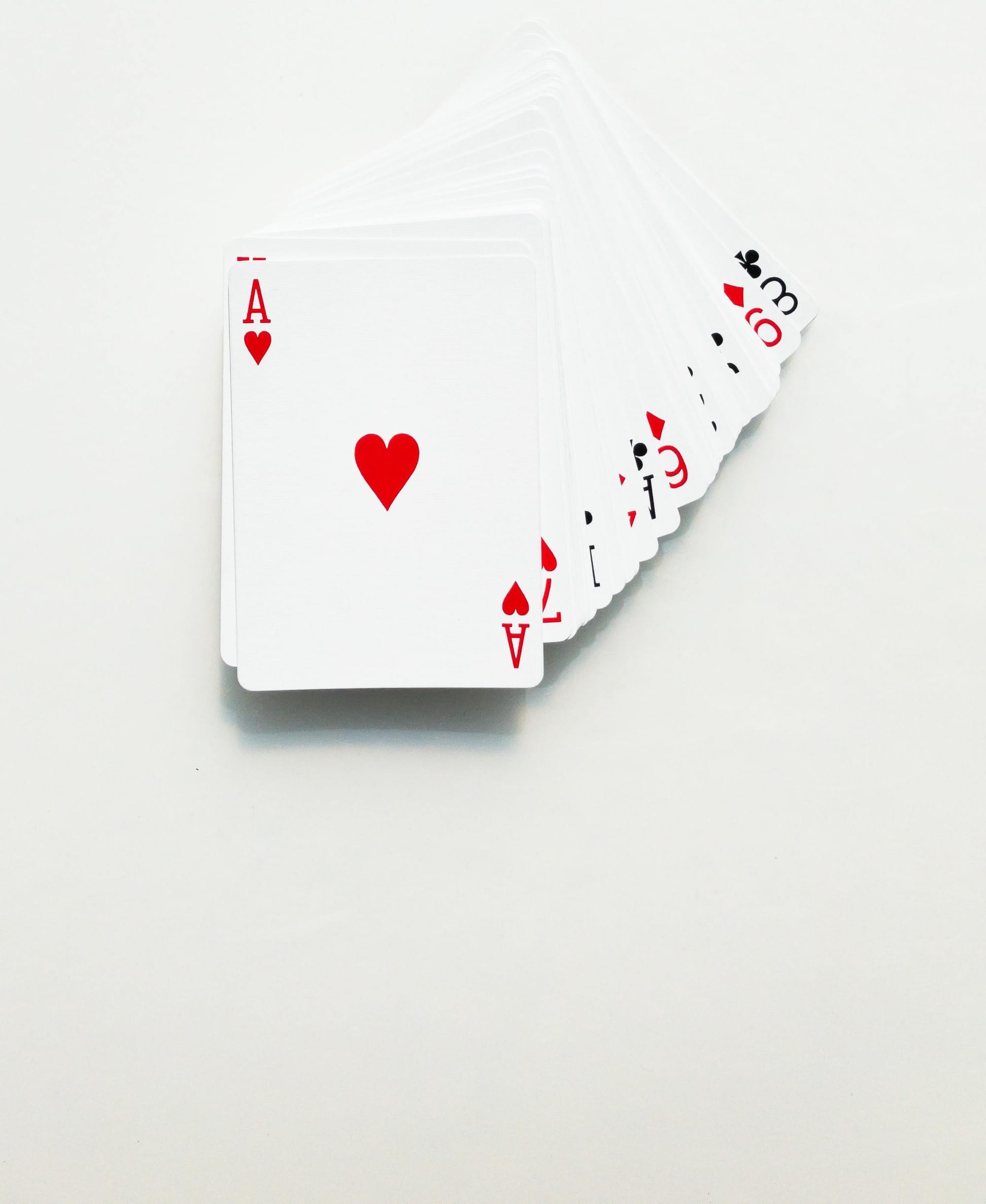 Phillip Island bridge results