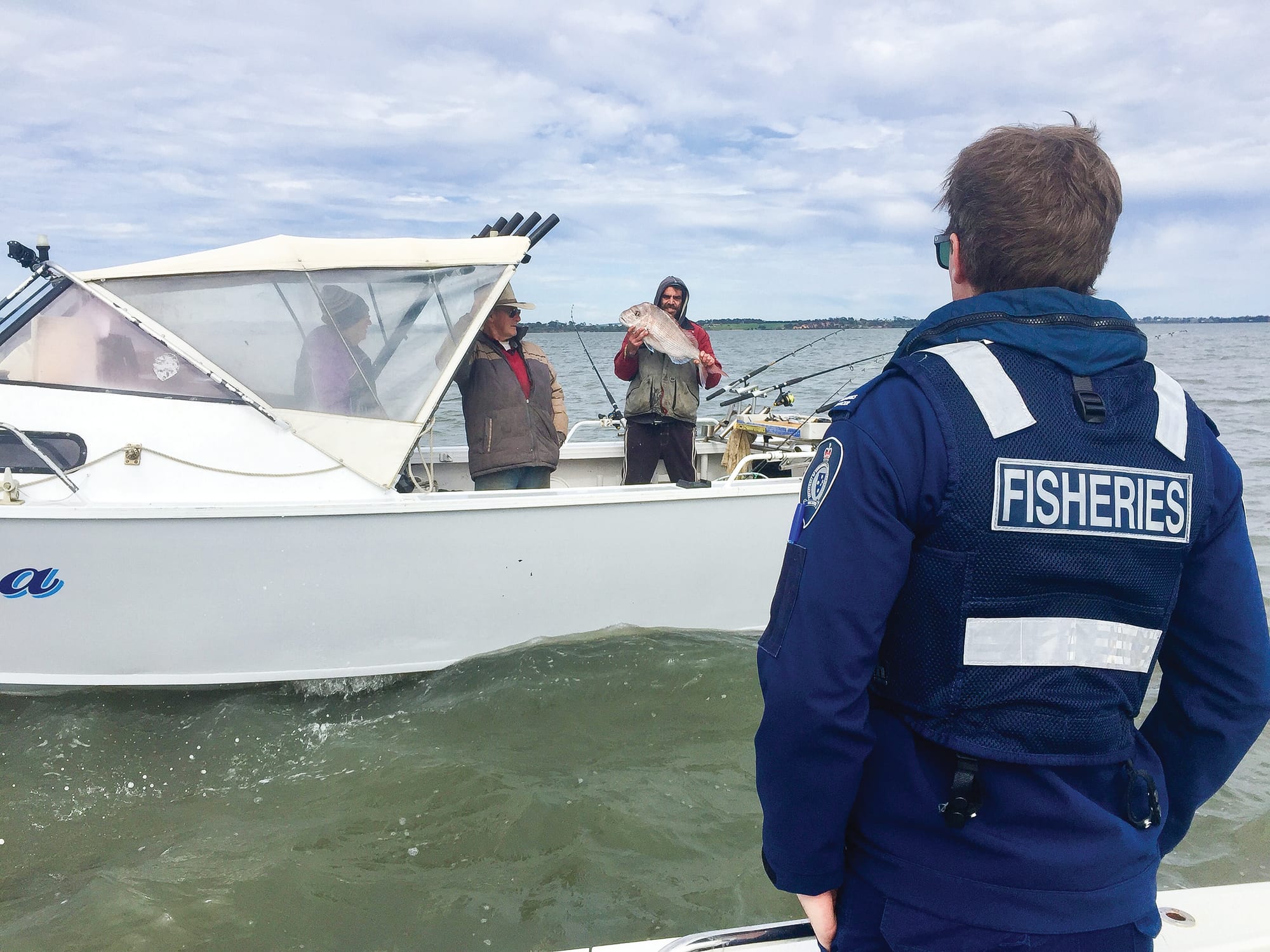 Abalone in a bra: illegal fishing on the rise