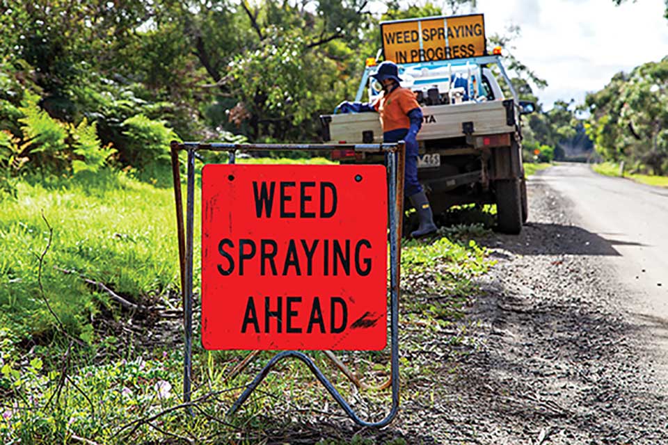 Have weeds, will spray