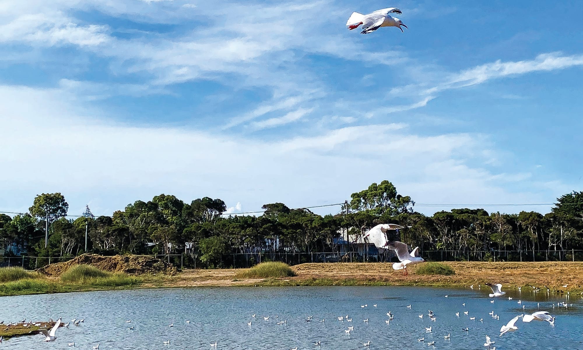 Still no answers for Shoalhaven