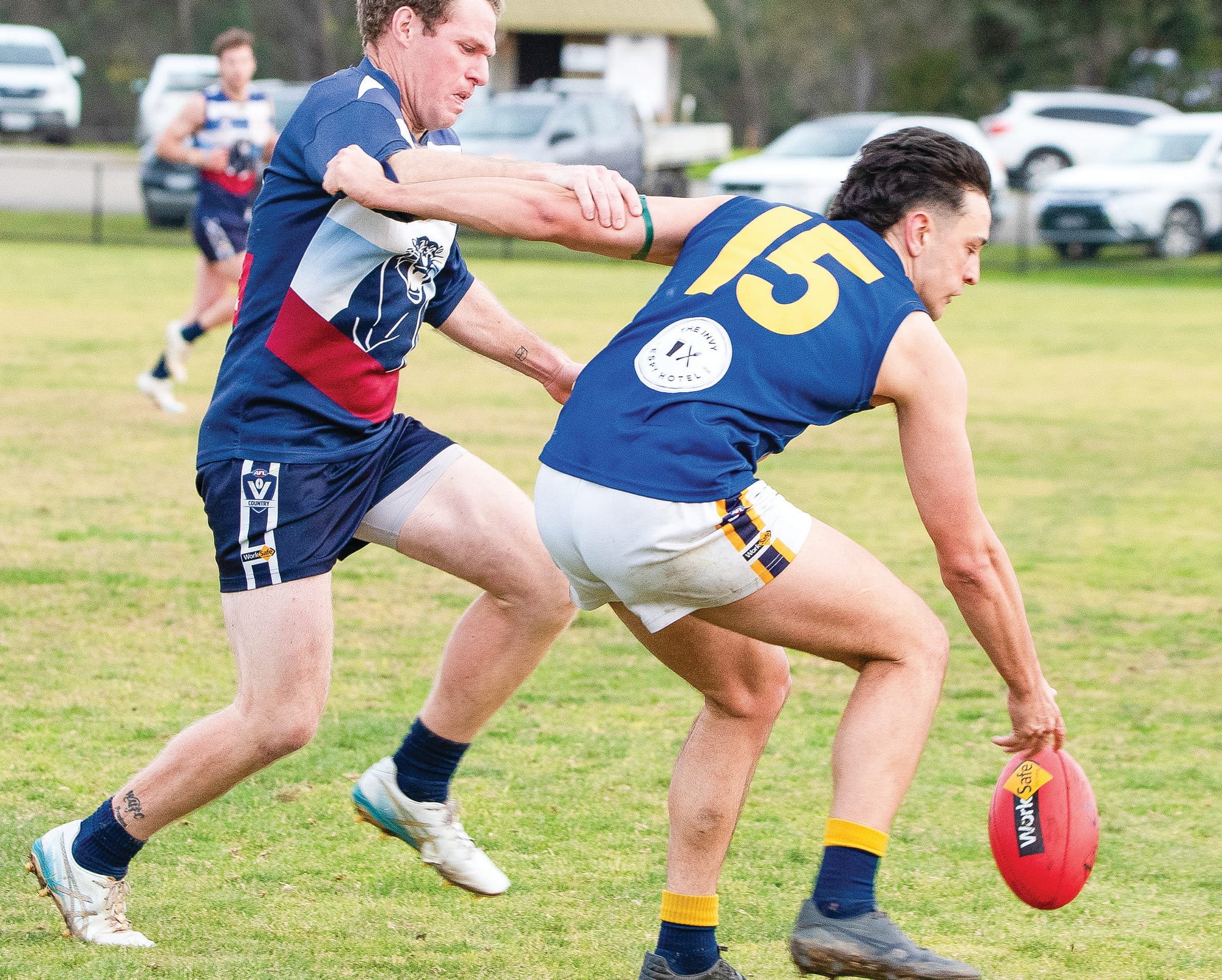 Challenging clash for Kilcunda Bass