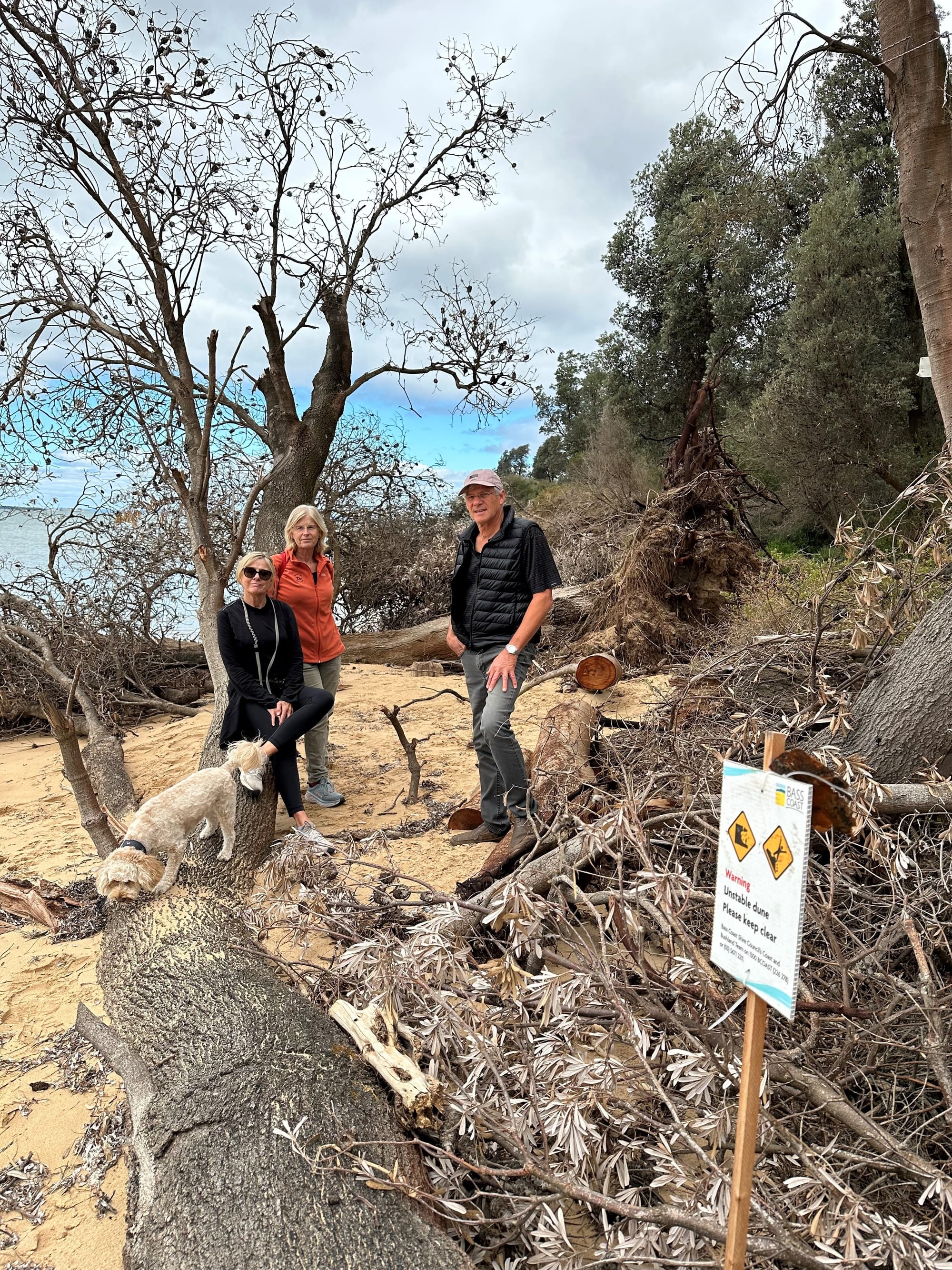 Government confirms beach study