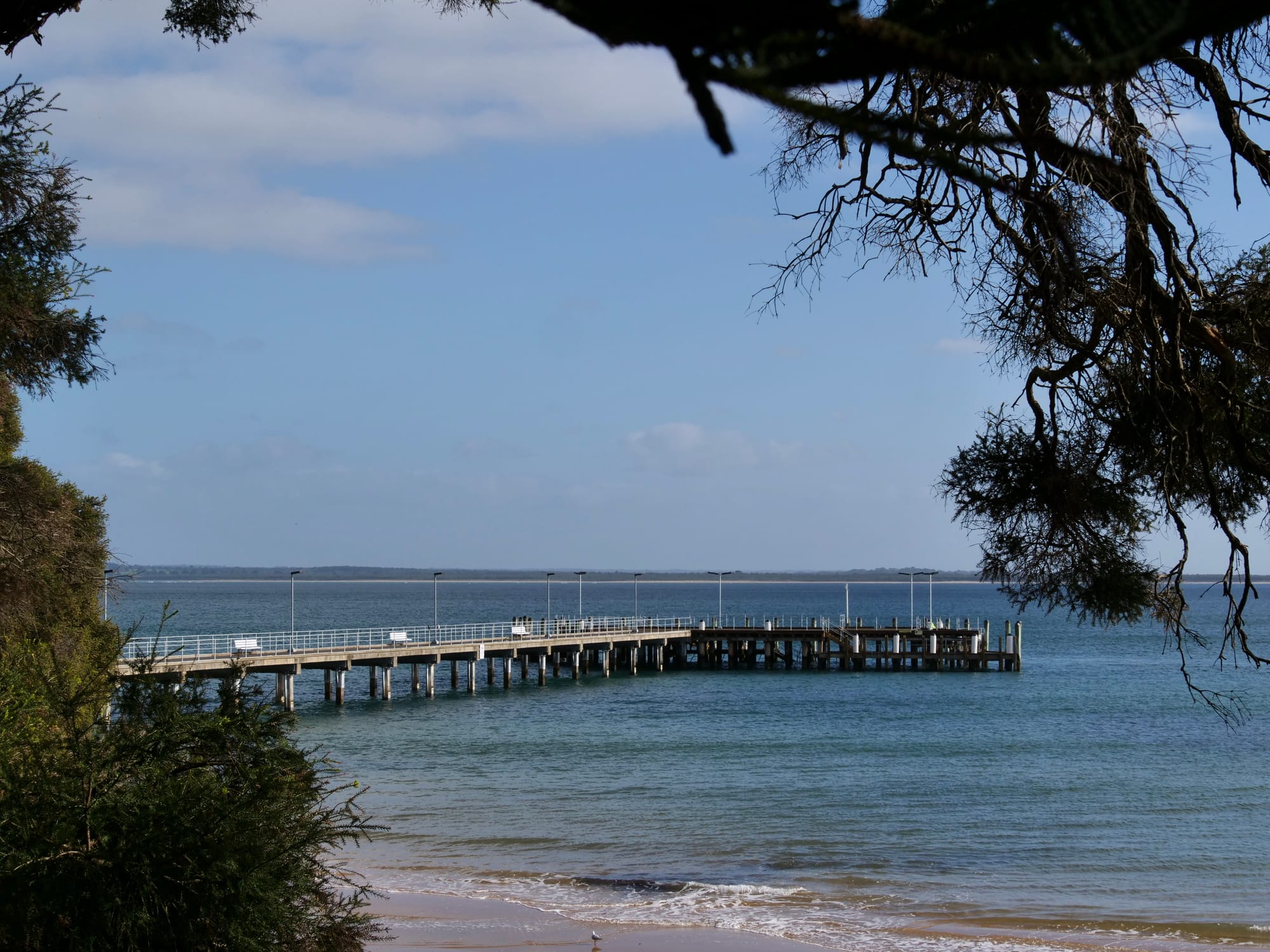Here we go again: car ferry debate begins