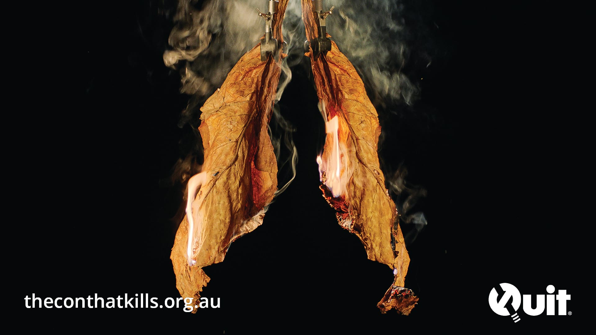 The Con that Kills campaign airs again