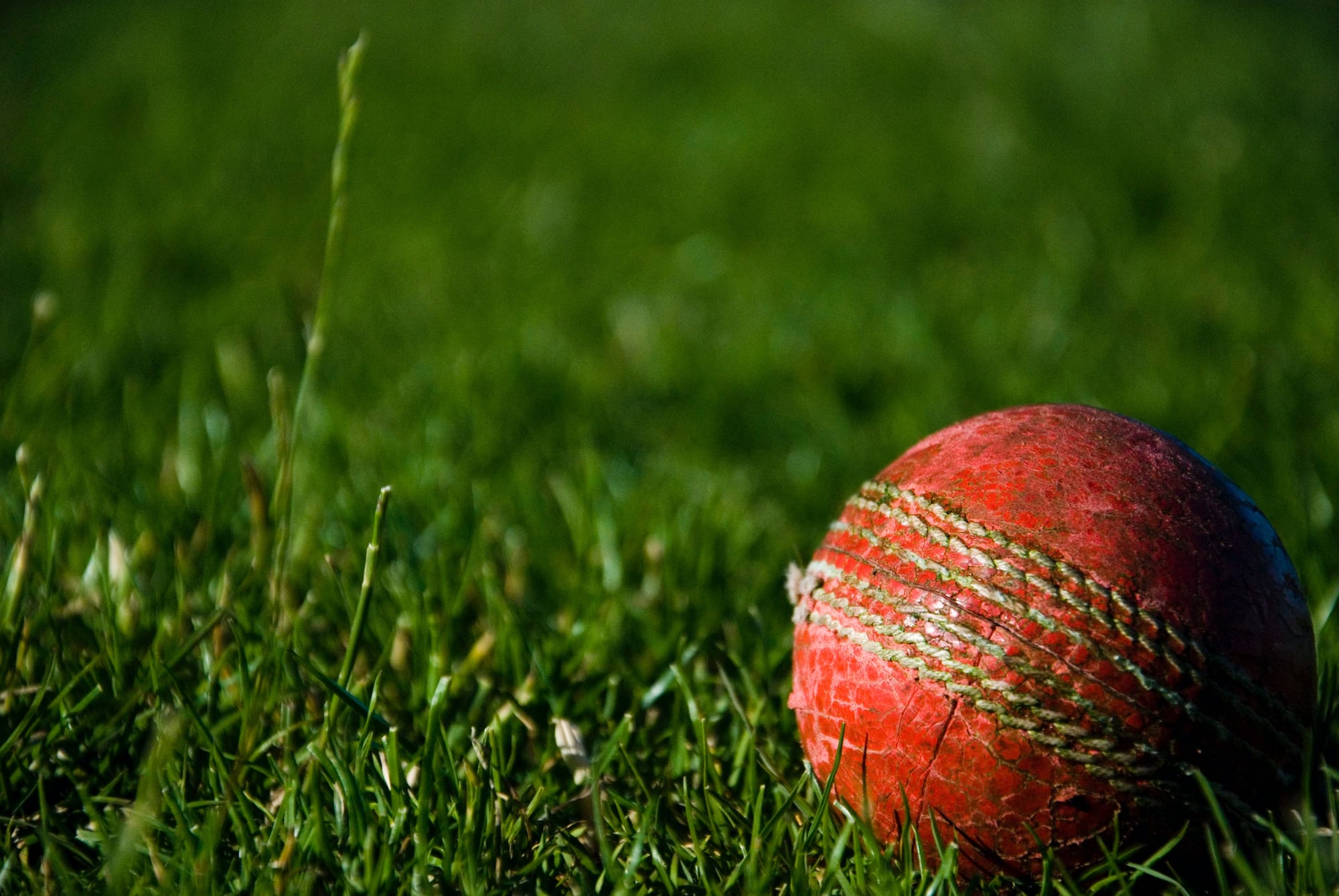 Junior cricket takes home win