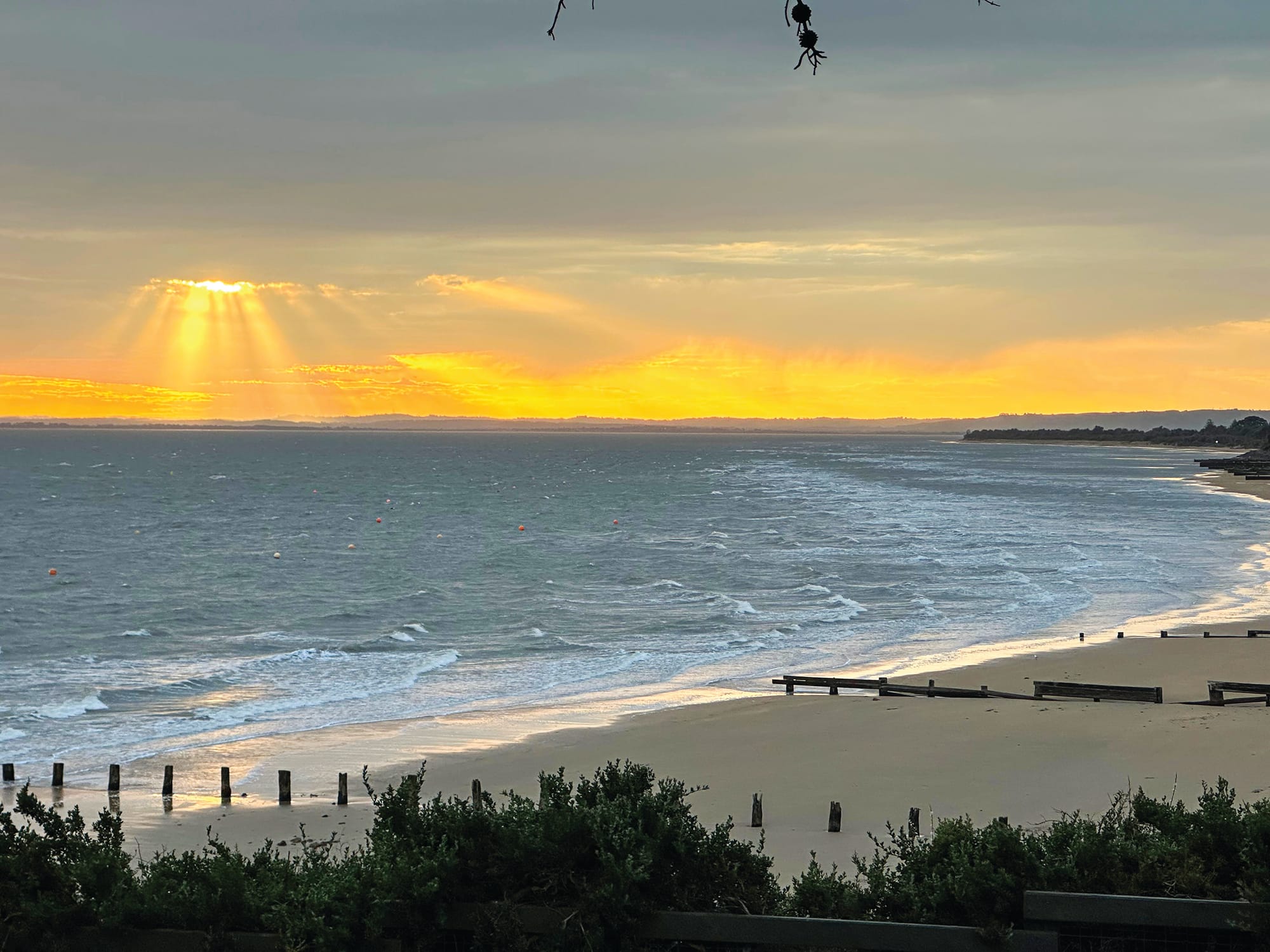 Why was Western Port chosen as Victoria's turbine hub?