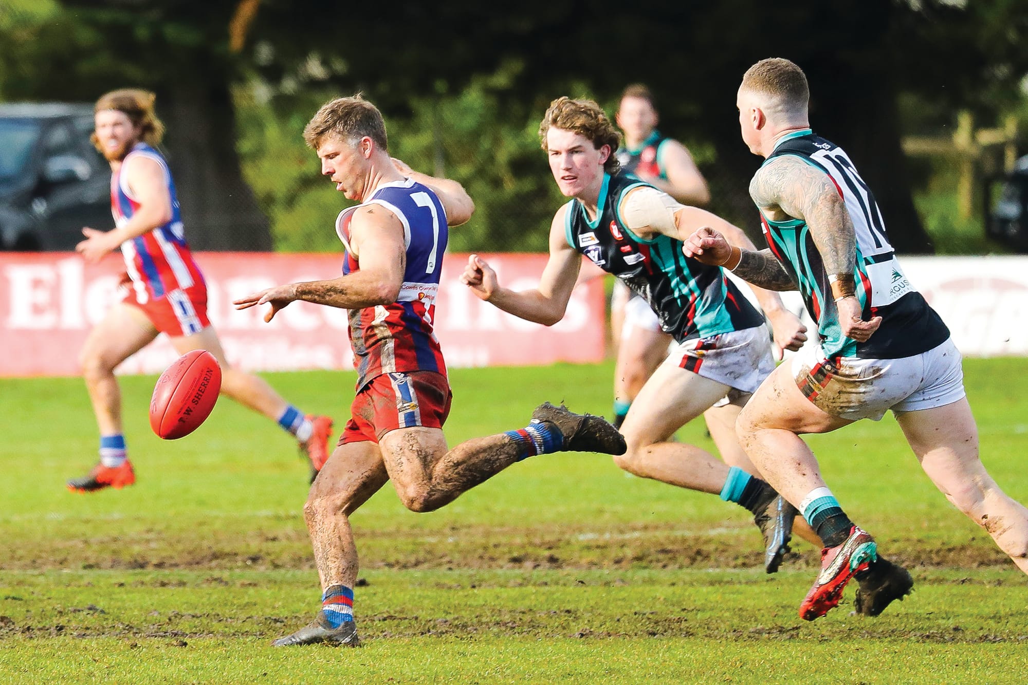 Reserves - Cobras’ sting no match for Bulldogs’ bite