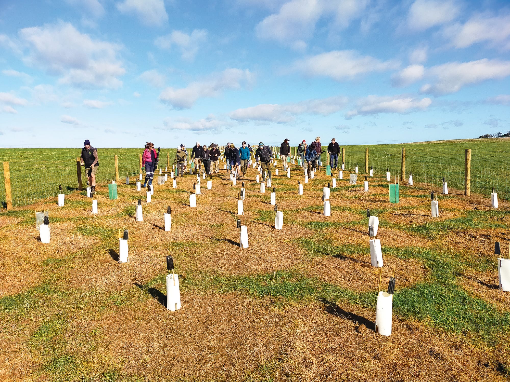 Grant to plant for the future