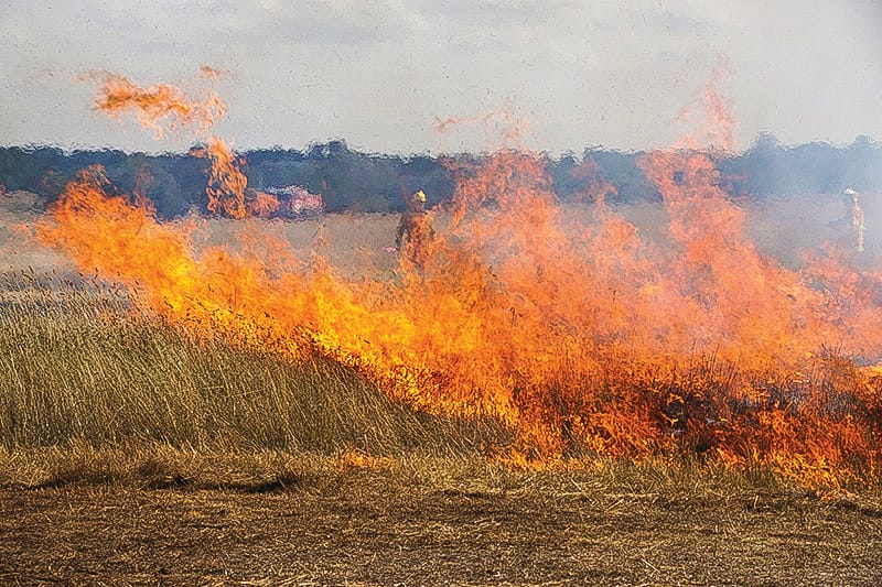 Fire restrictions start