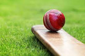 B Grade cricket reports