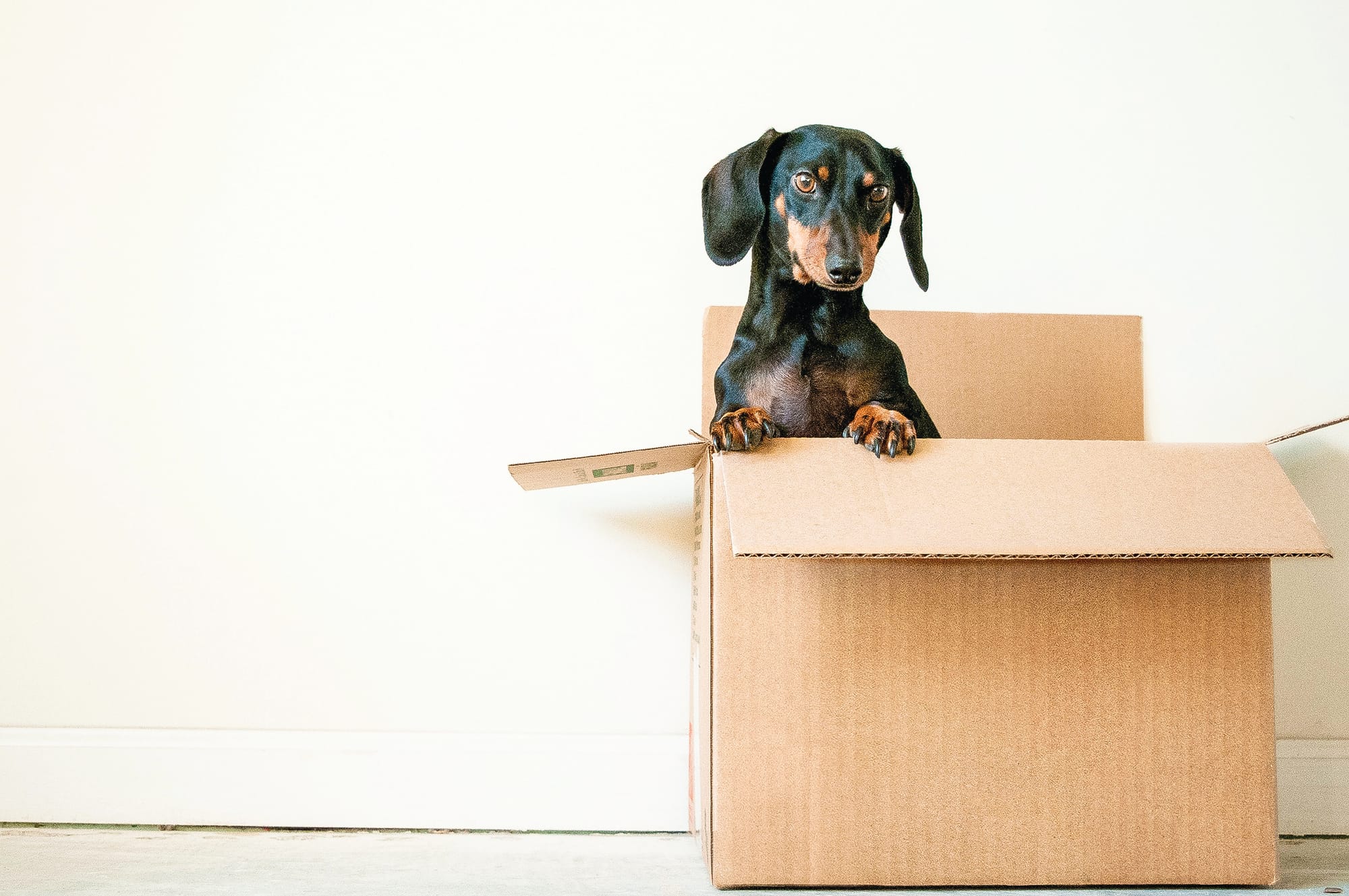 Regional populations rising