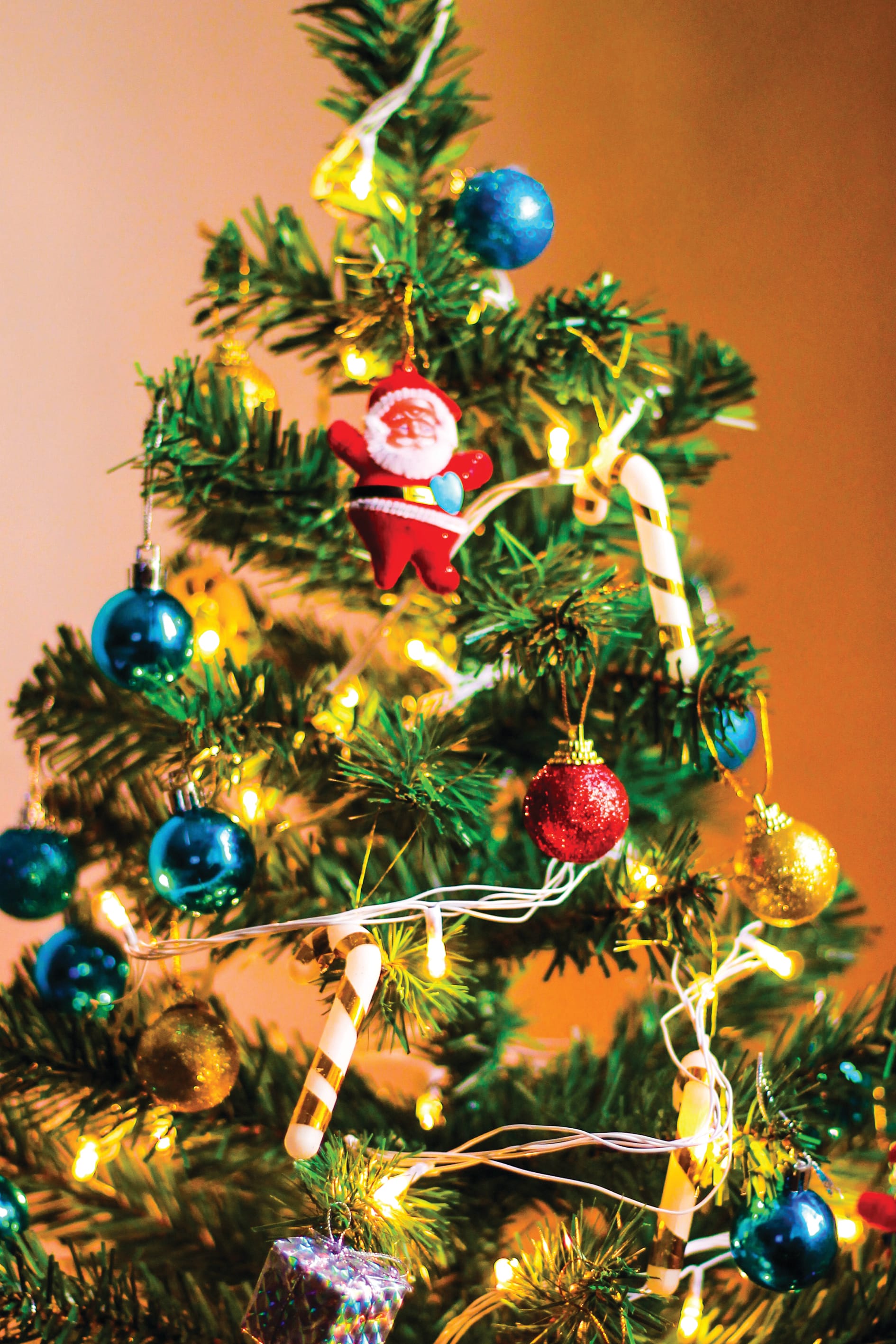 Get in the Christmas spirit