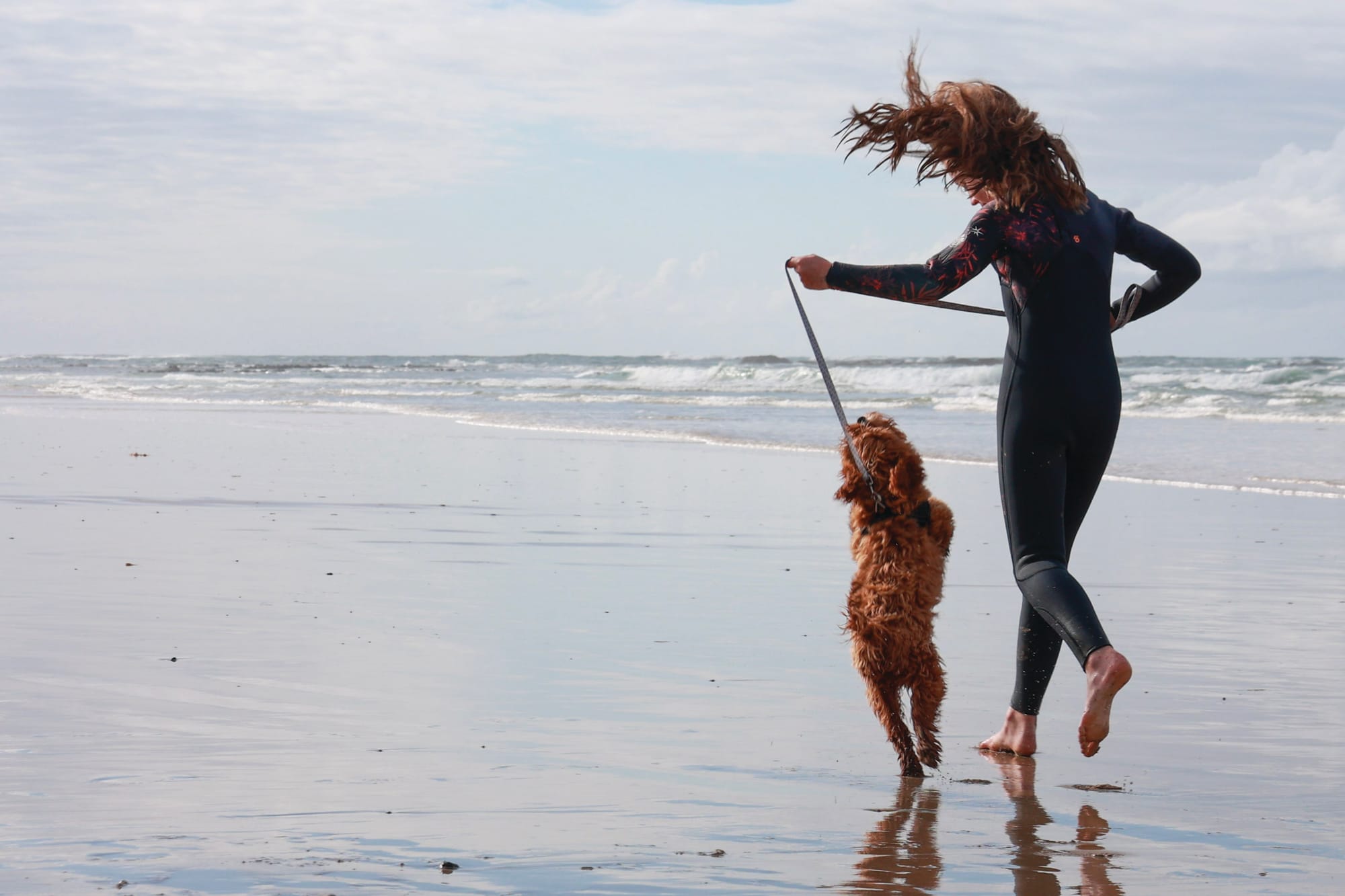 Where can I walk my dog on Phillip Island?