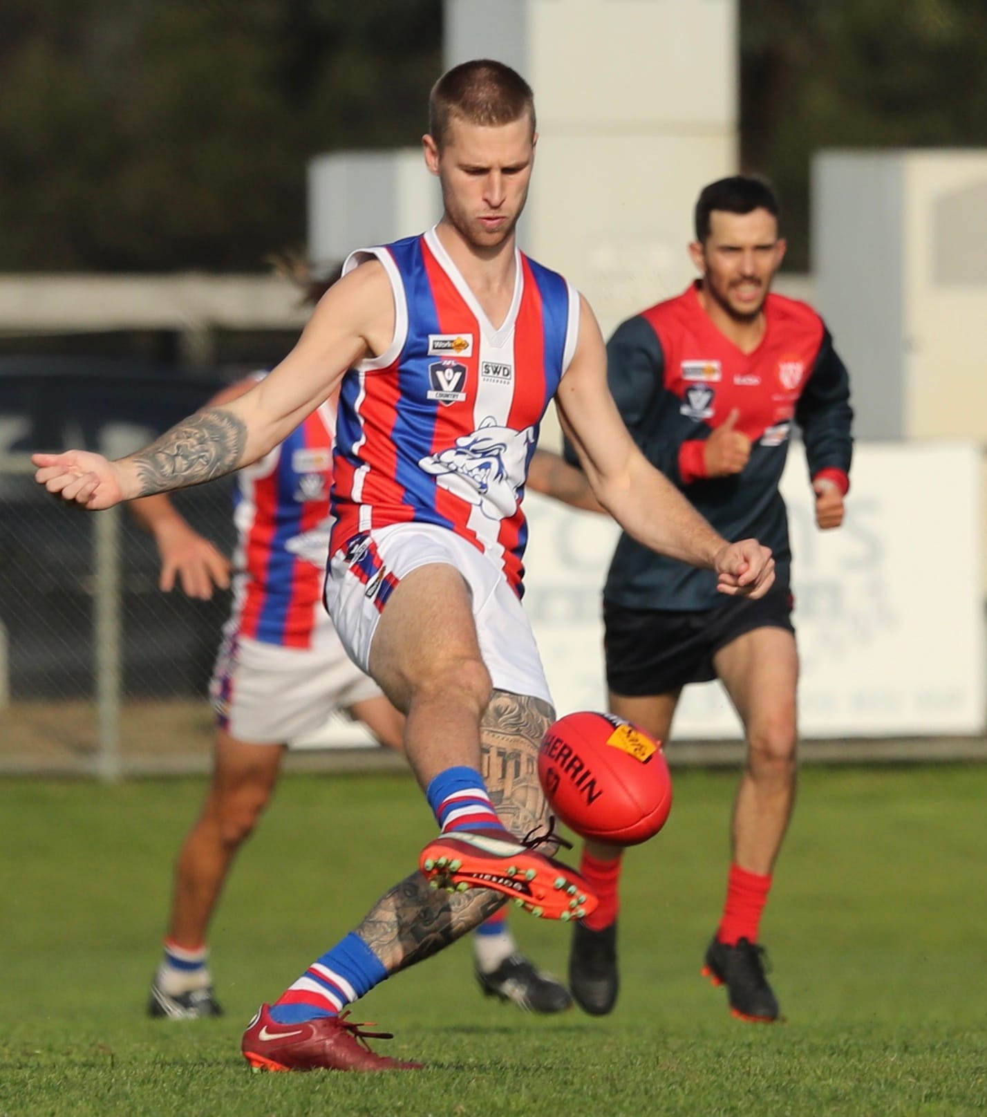 The Island proves too hot to handle for the Demons - Seniors