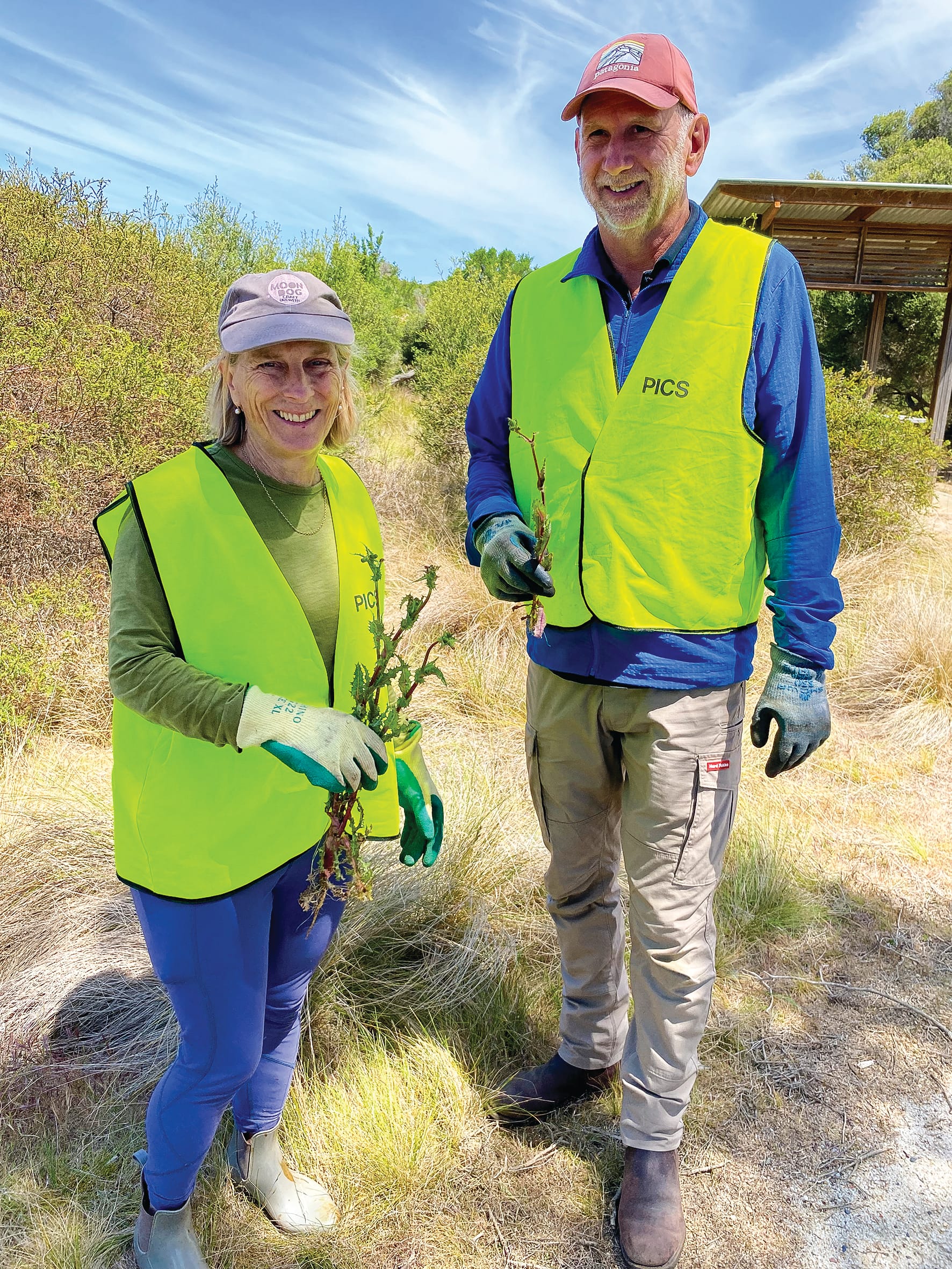 Scenic Estate clean up