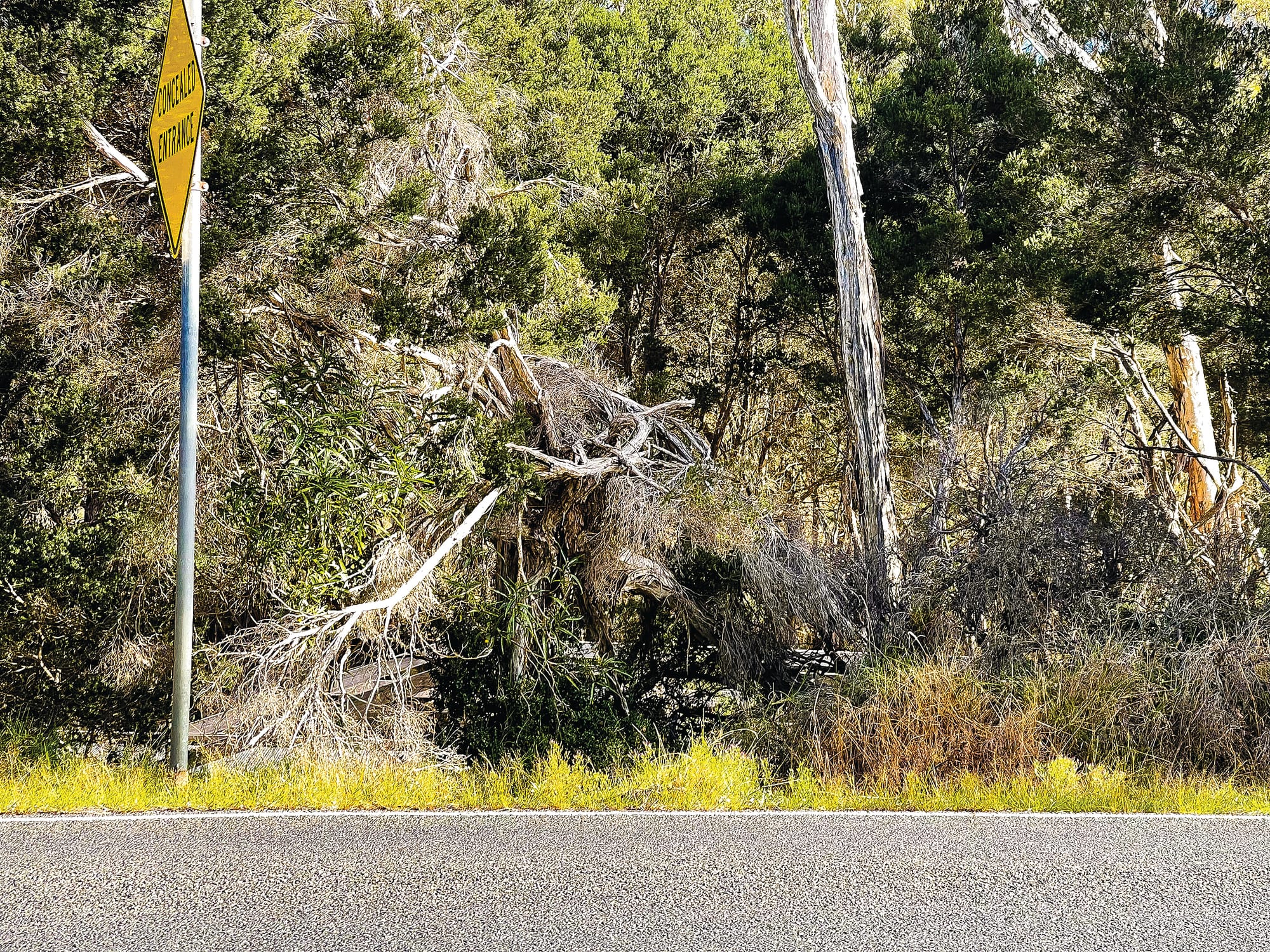 Not a roadside attraction