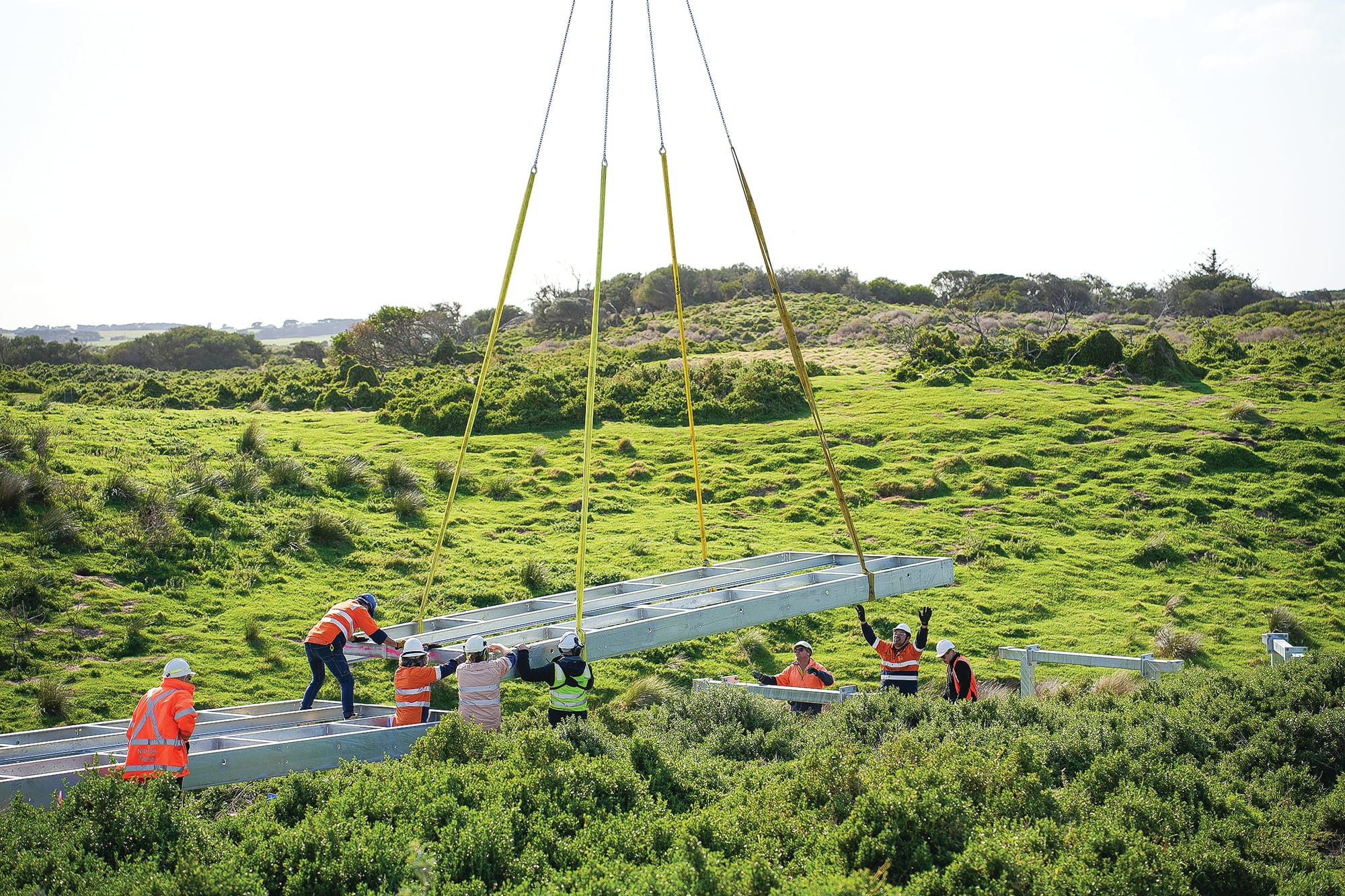 Better view at Penguin Parade