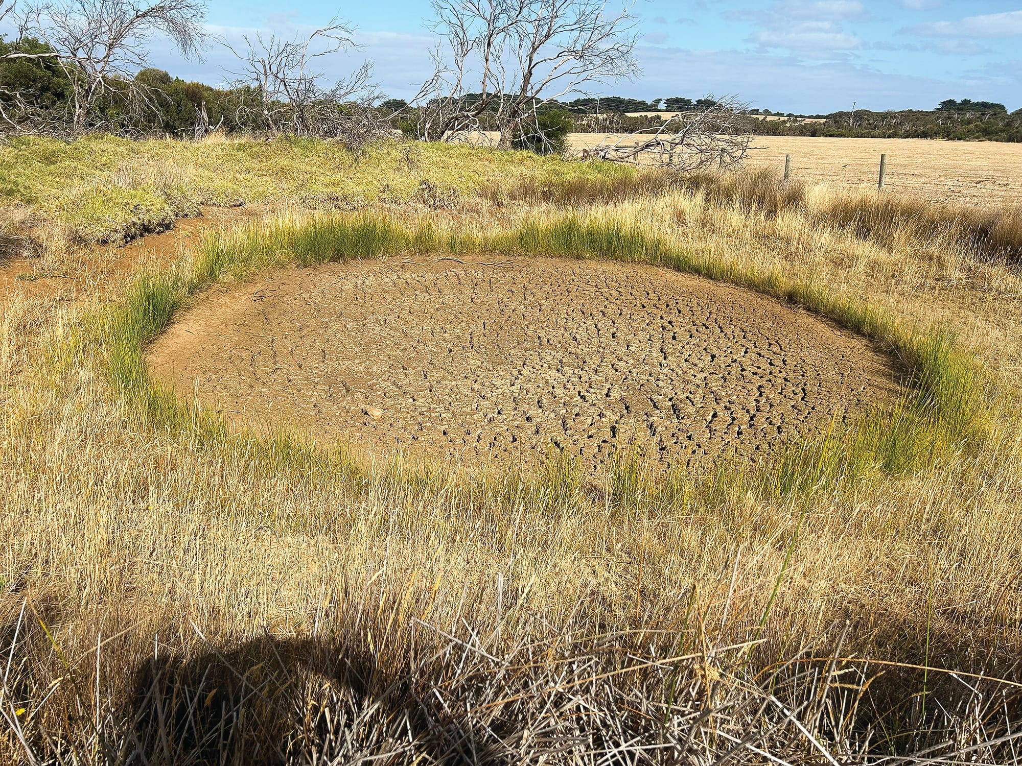 Hot and dry, but chance of water restrictions still low