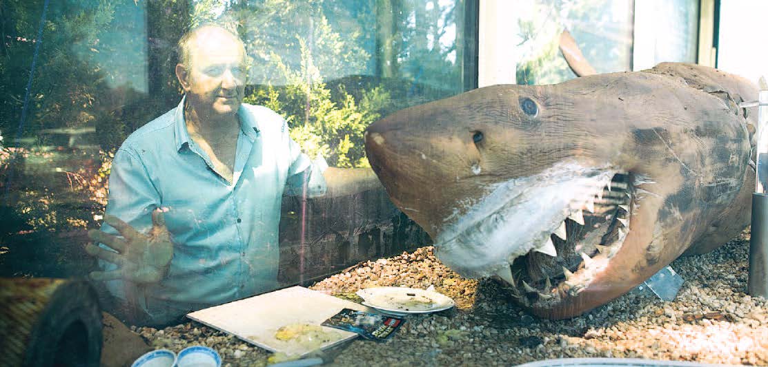 A year later, how is Rosie the Shark?