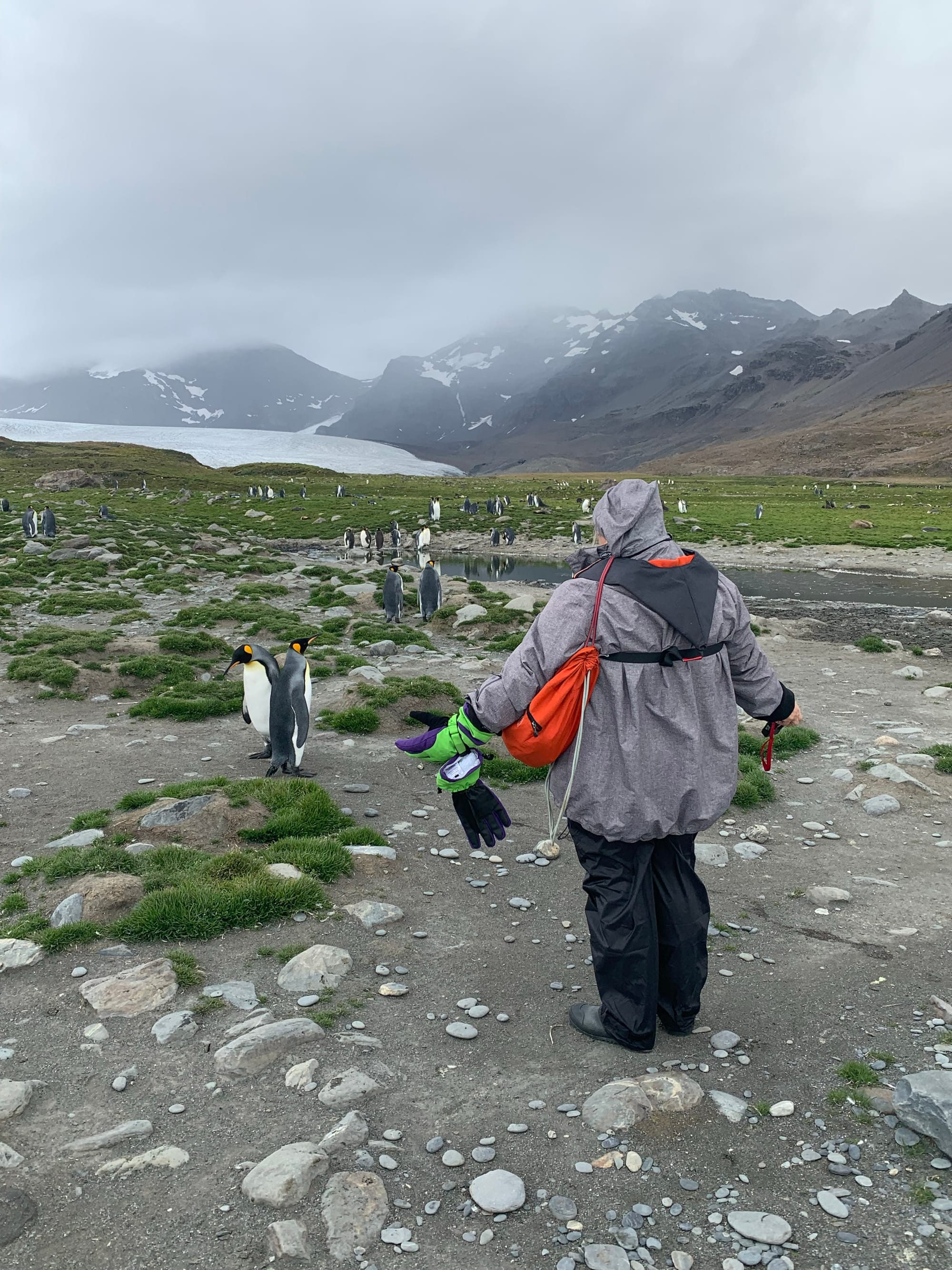 A real endurance trip