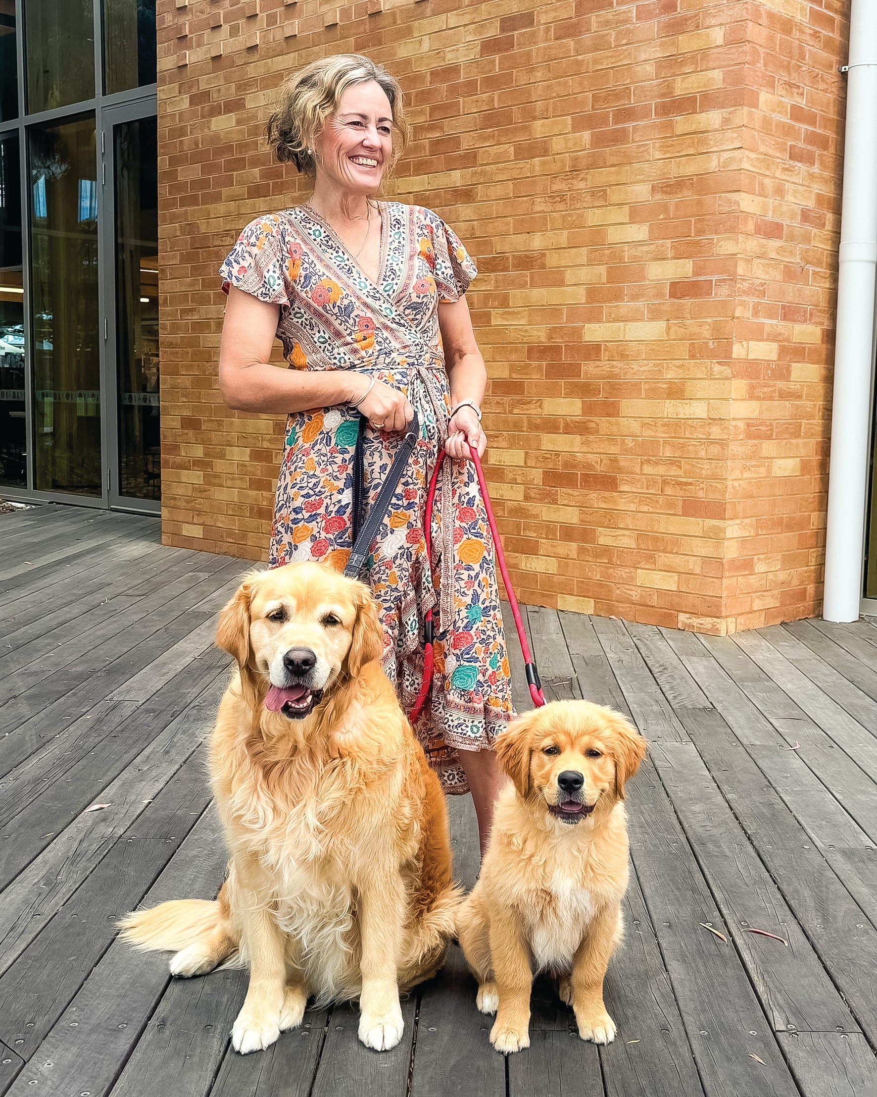 It's time to talk domestic animal management plan