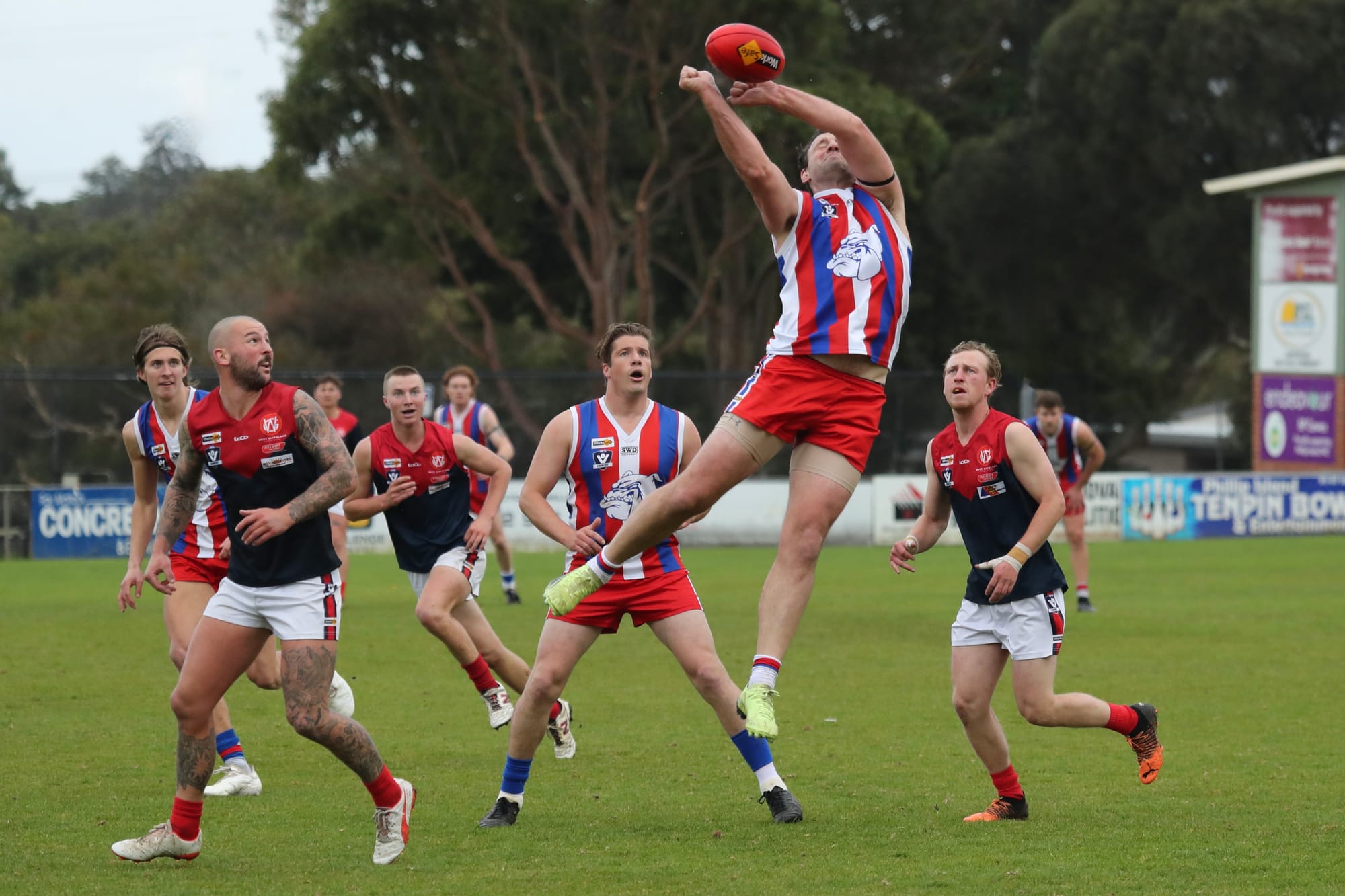 Demons exorcised at the kennel