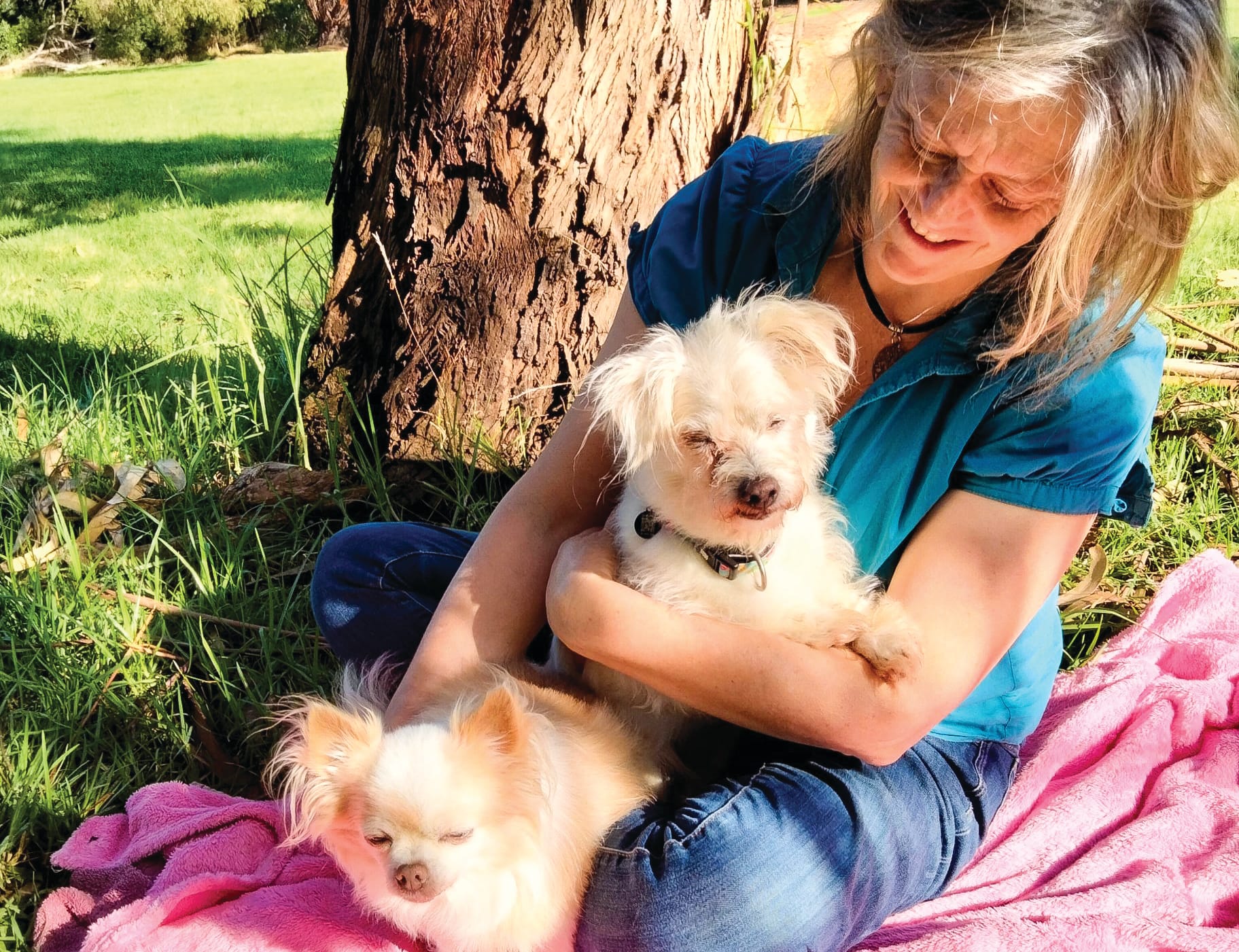 Consider adopting a dog locally