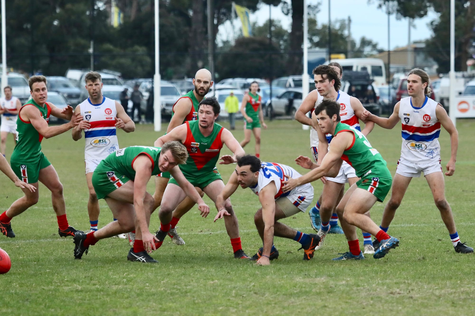Seagulls flock feast on Bulldogs run