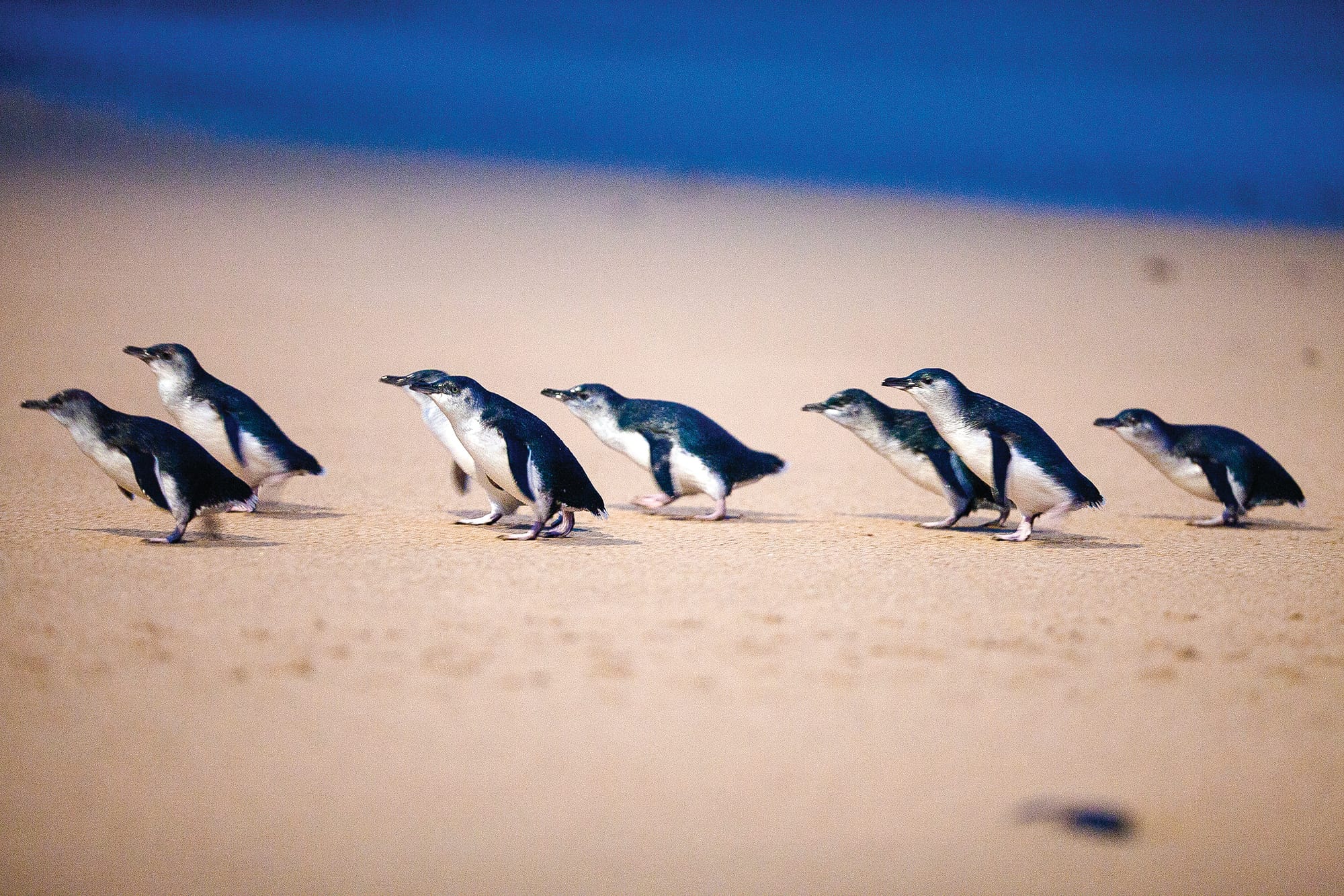 Island reaps benefit of record high tourism spend