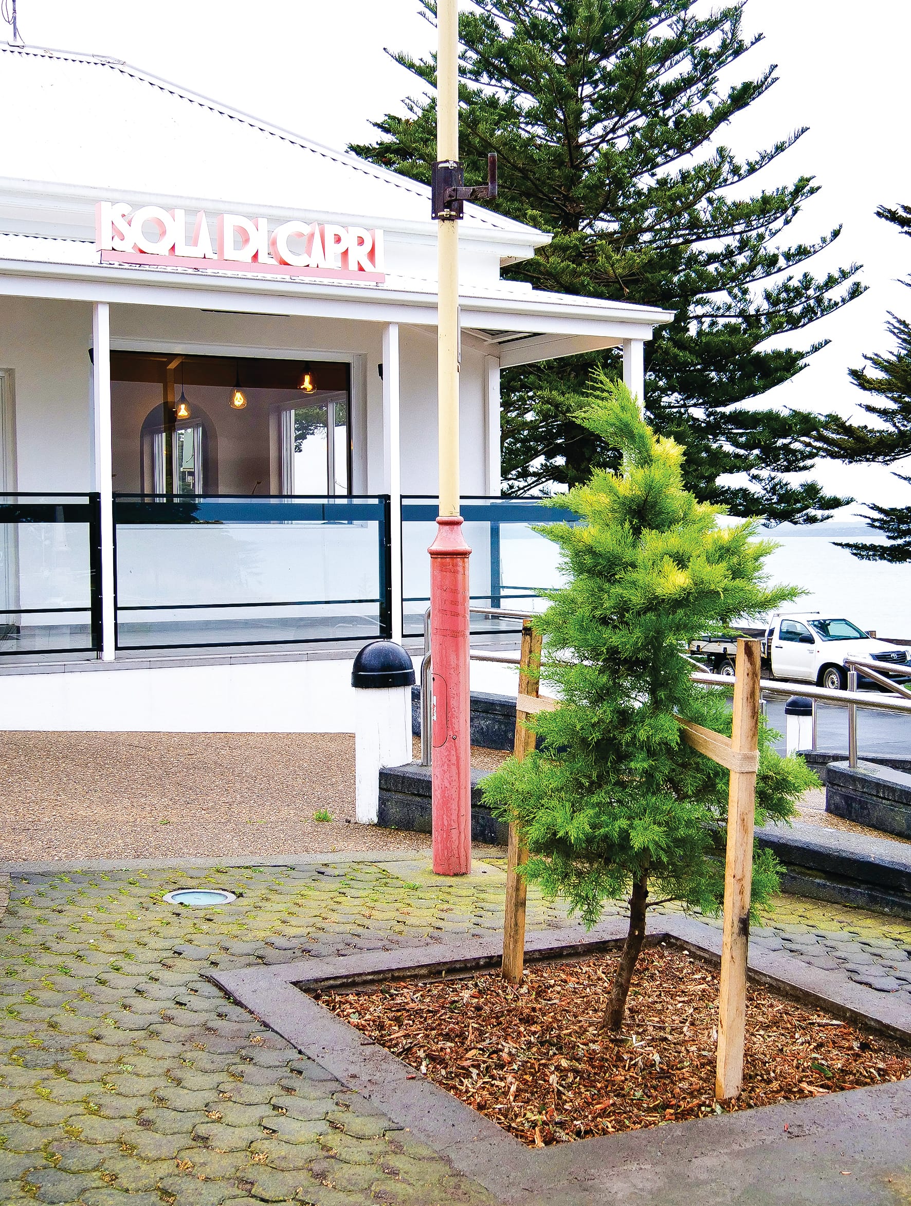 More gold for Thompson Avenue