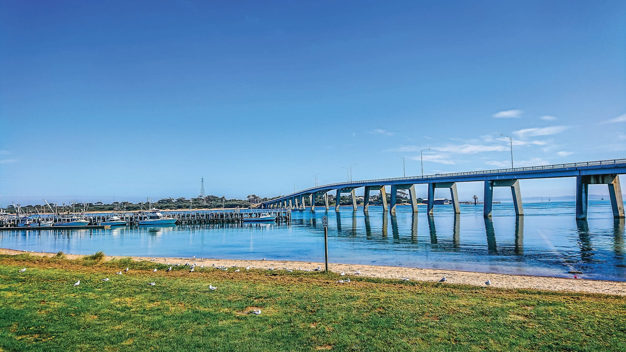 DAL hearings: Bridge, Phillip Island Road widening would damage tourism, environment