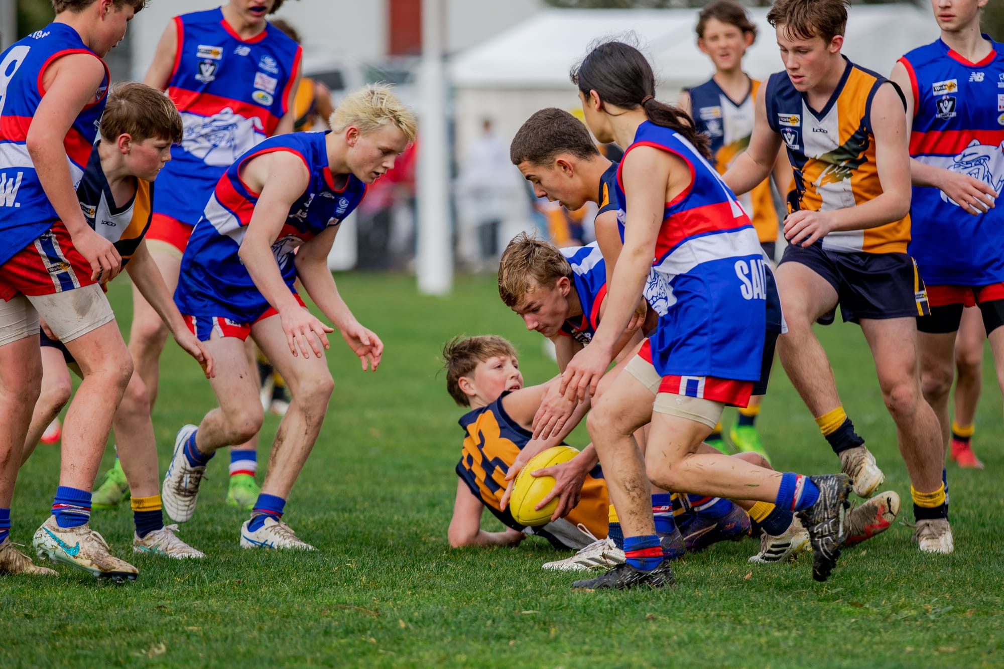 Bulldogs battle hard in U14 Grand Final
