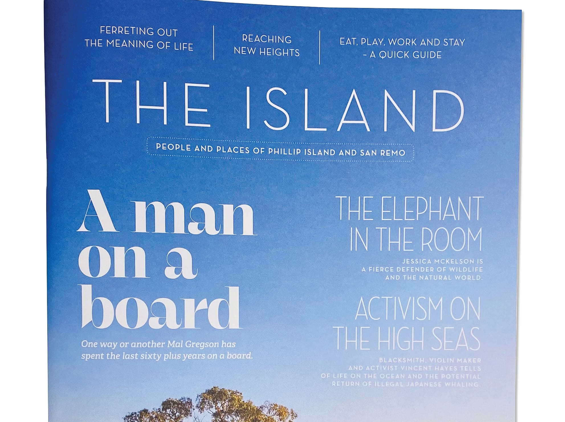 The Island summer hits the street