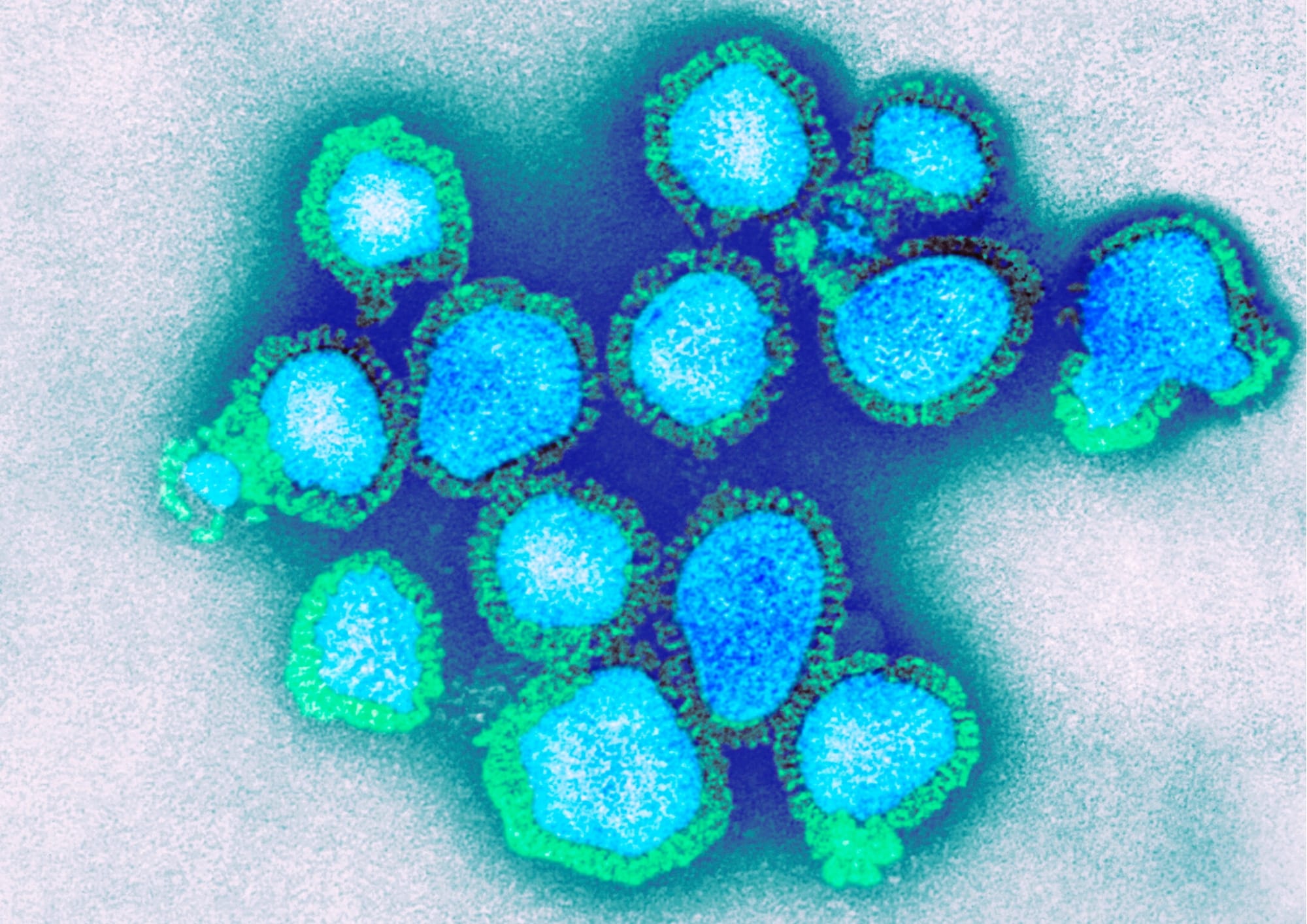 New Covid info available