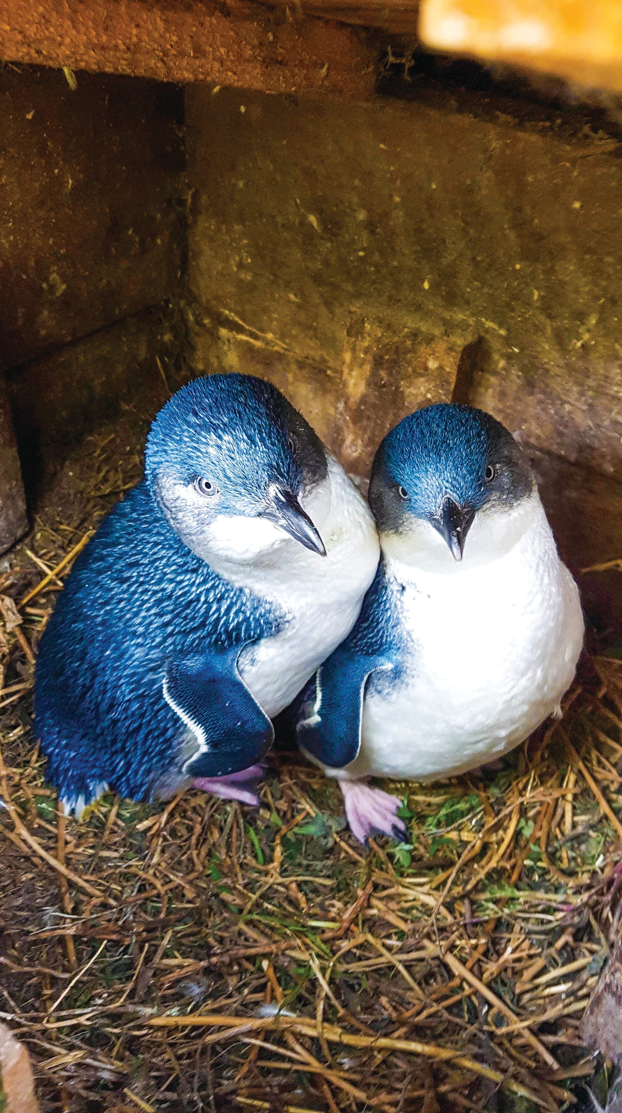 Community call from Nature Parks
