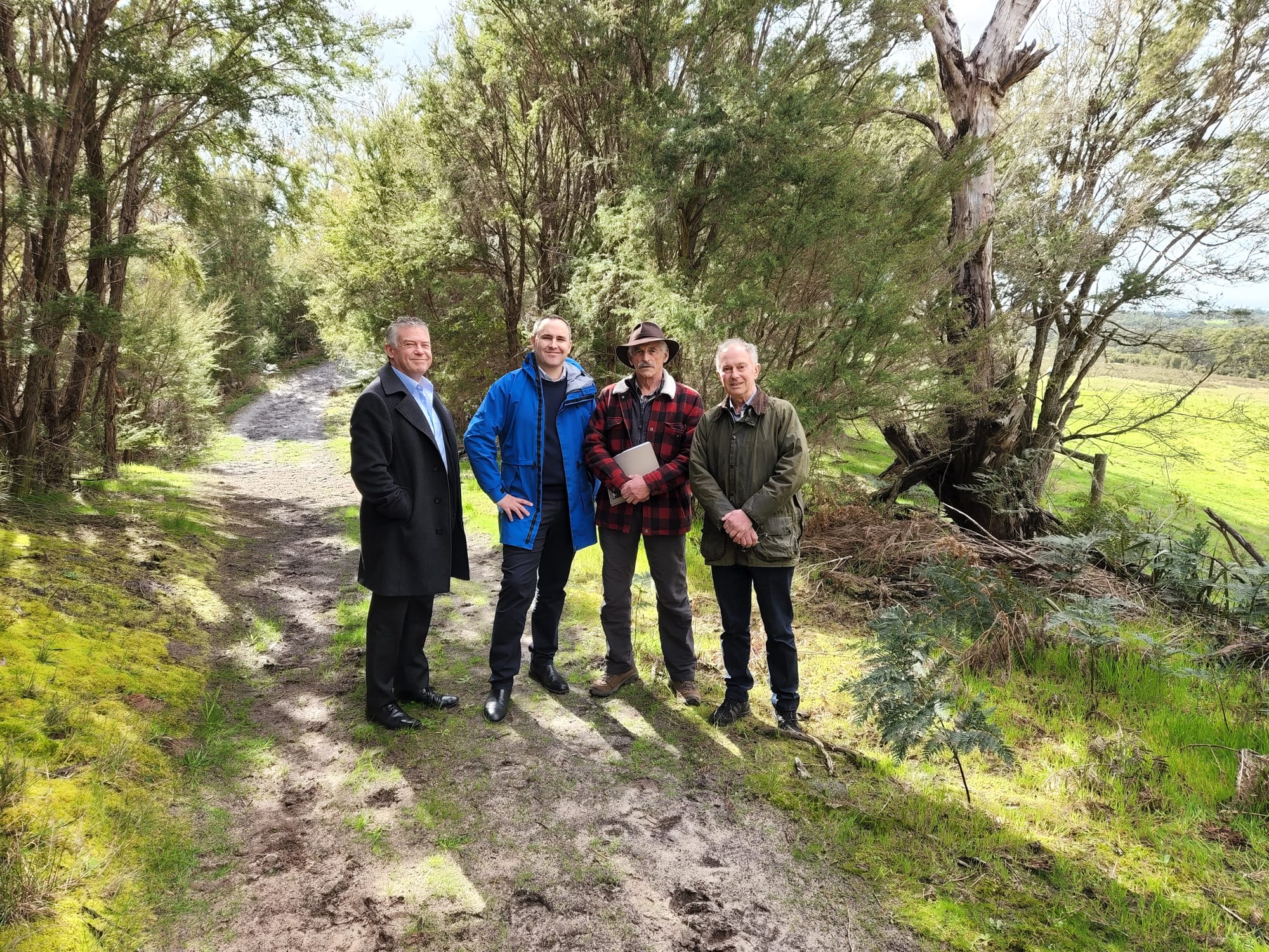 Liberals promise to protect woodlands from mining