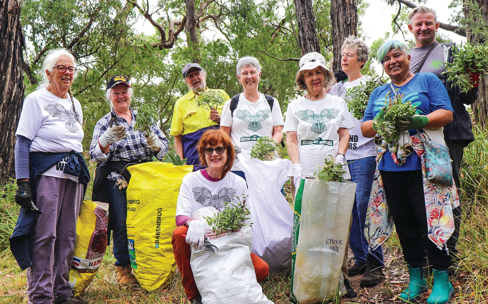 Operation Agapanthus